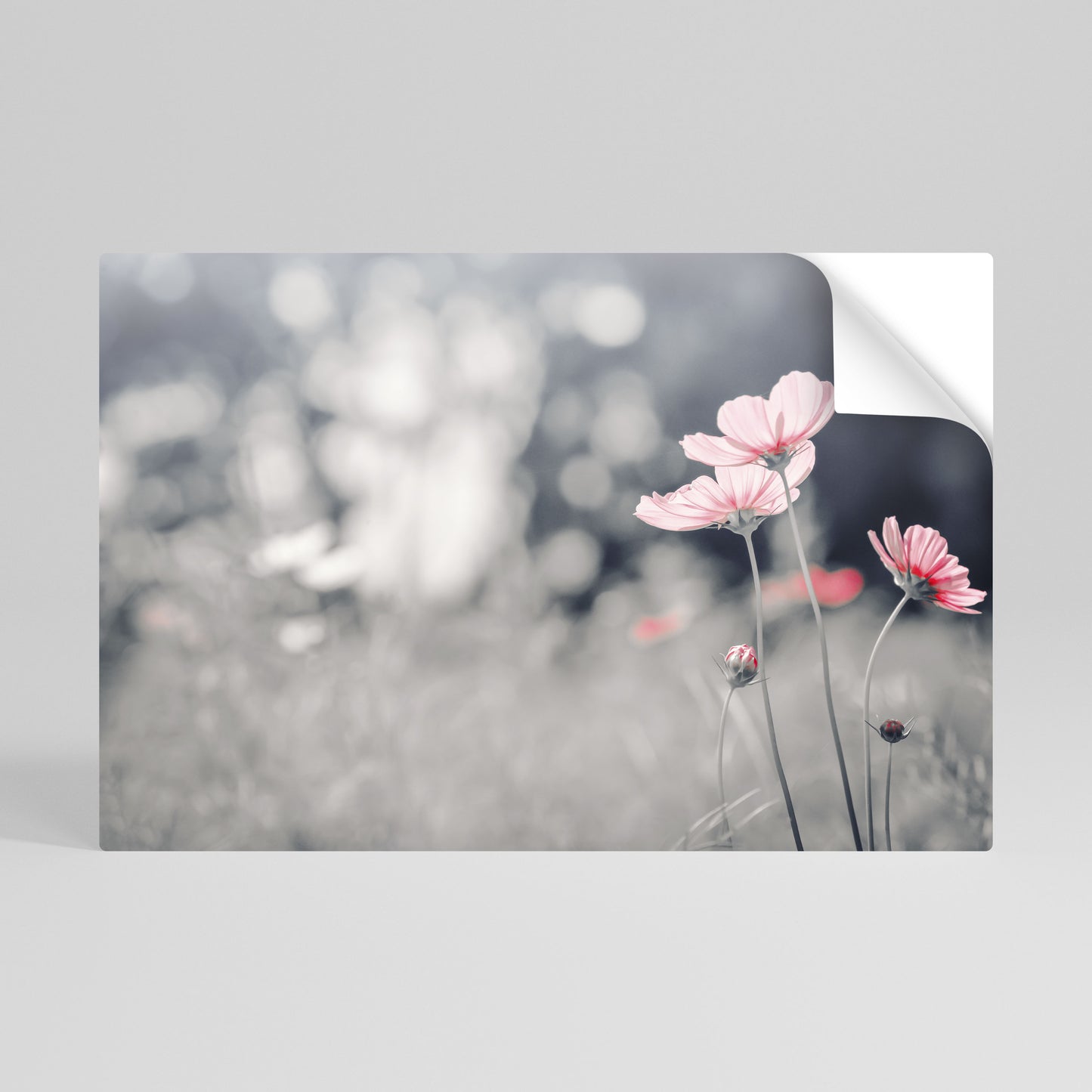 SUBTLE PETAL DANCE Póster adhesivo horizontal