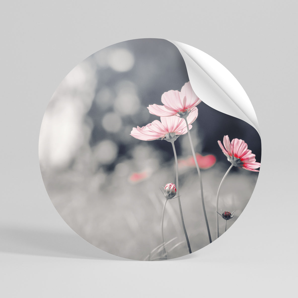 SUBTLE PETAL DANCE Vinilo adhesivo redondo