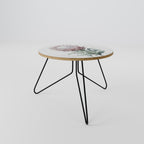 ROYAL PROTEA Mesa de Centro Ø60