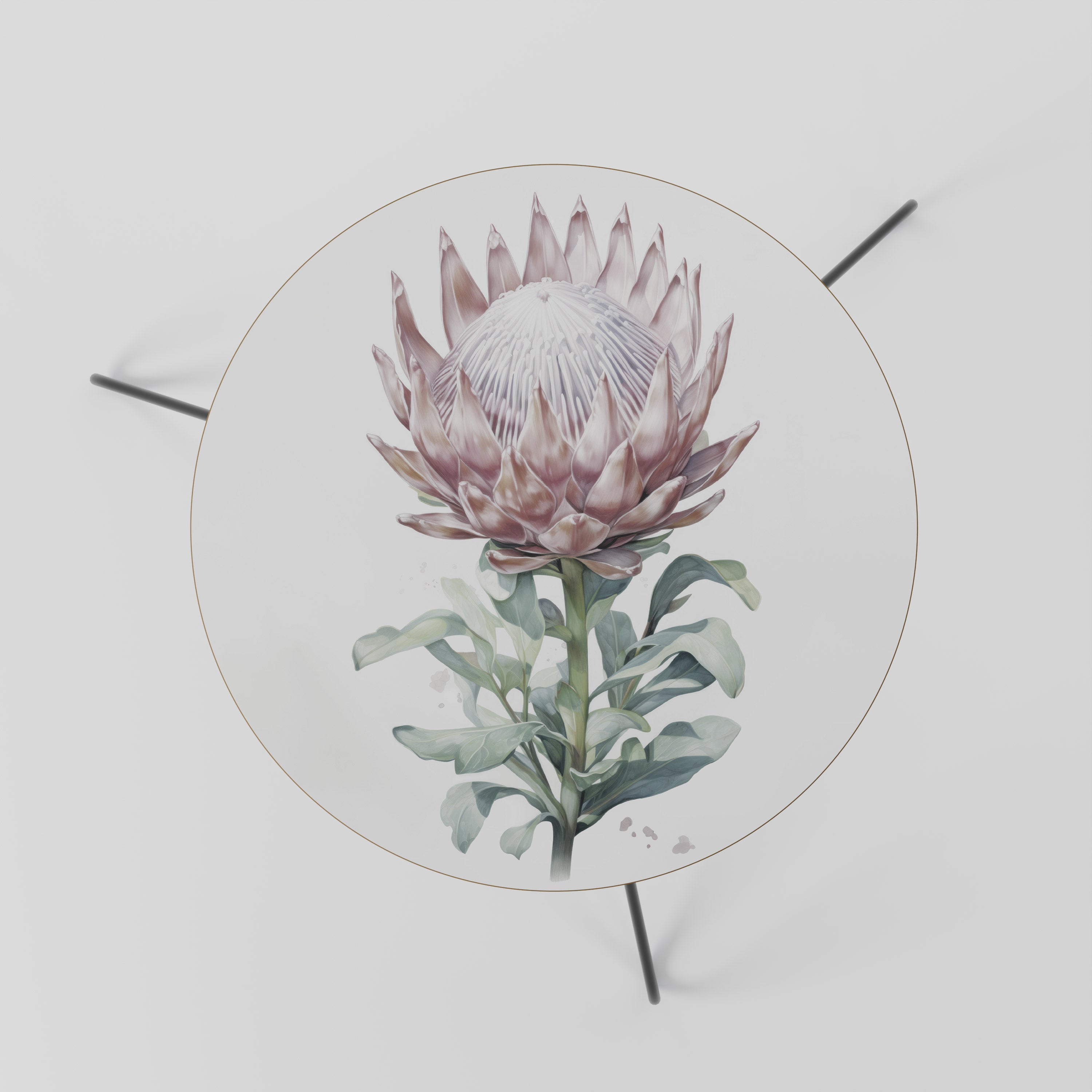 ROYAL PROTEA Coffee Table 60
