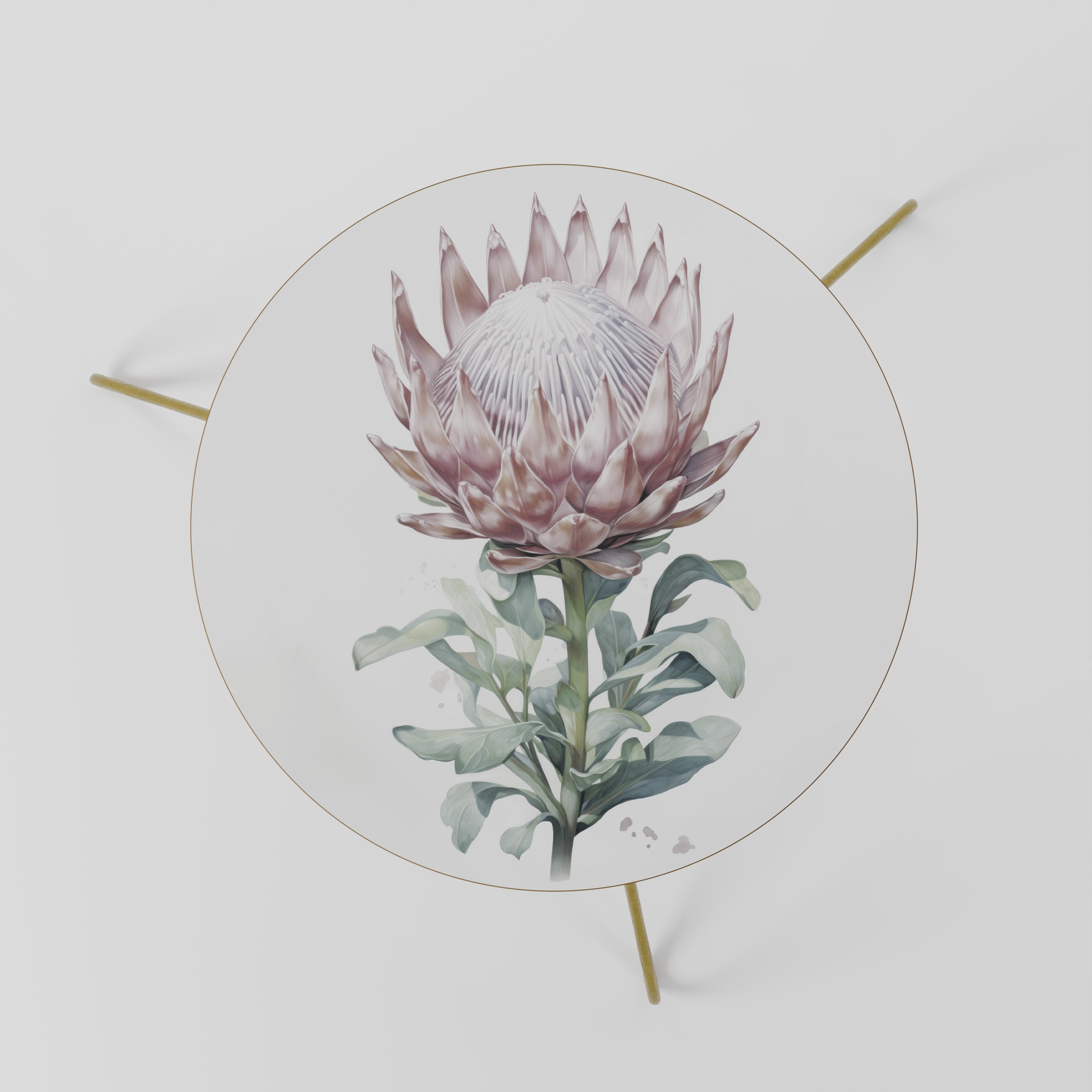 ROYAL PROTEA Coffee Table 60