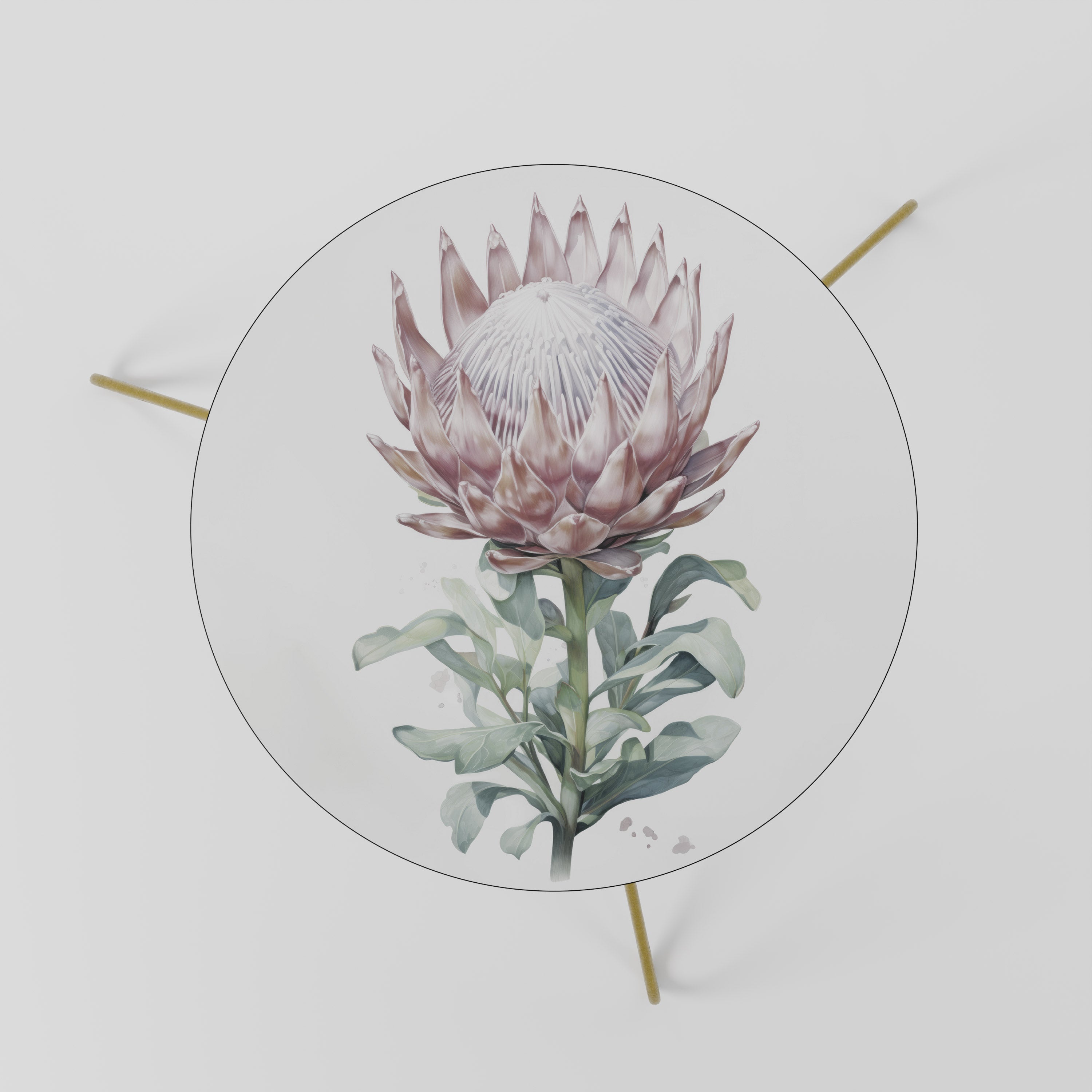 ROYAL PROTEA Coffee Table 60