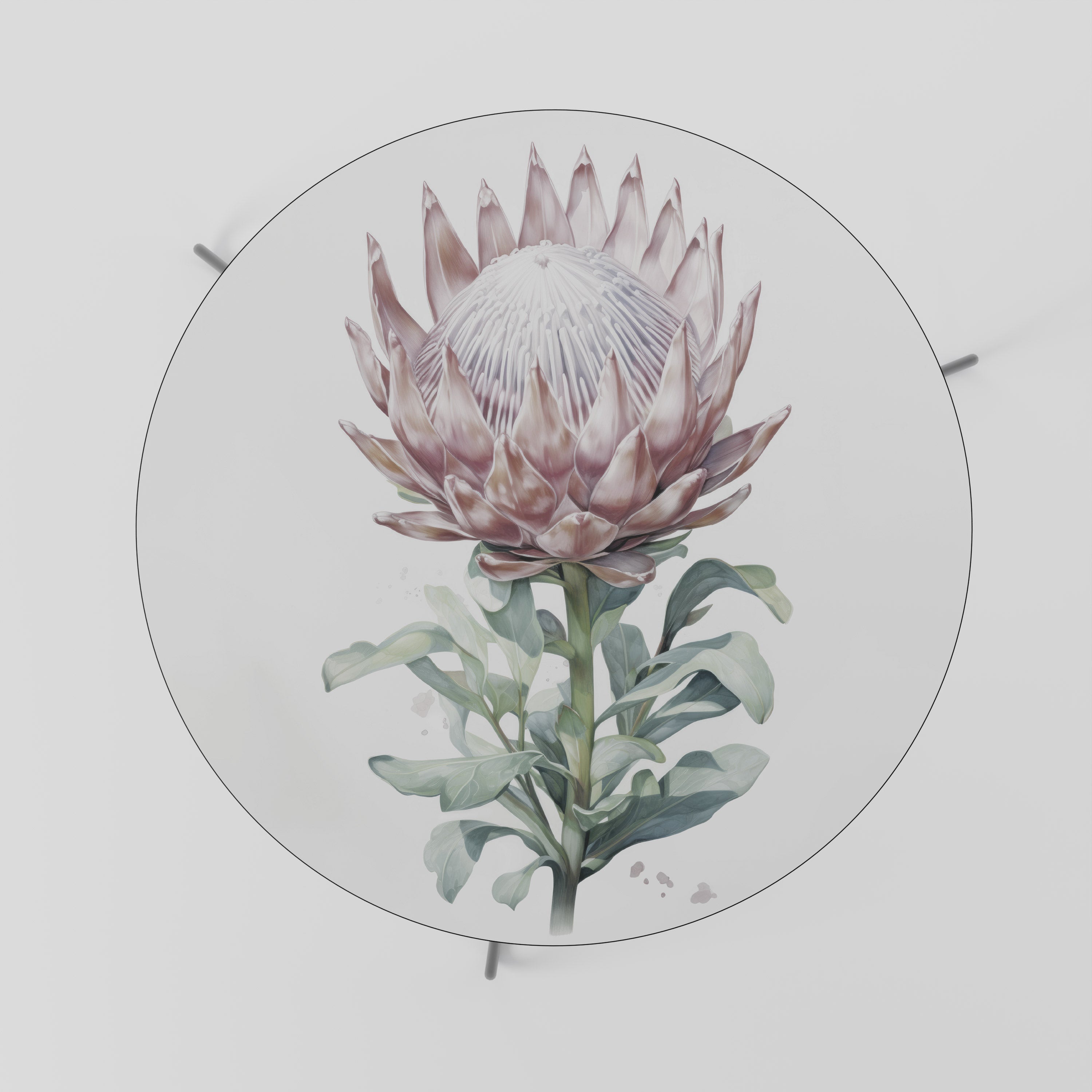 Mesa de centro ROYAL PROTEA 69