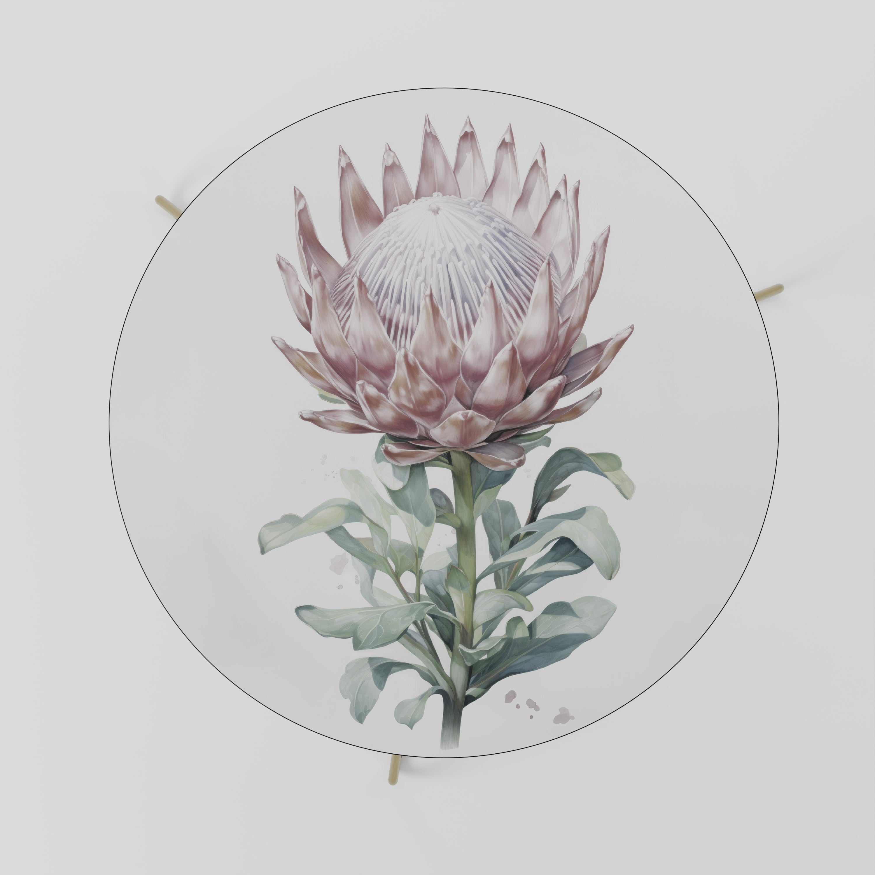 Mesa de centro ROYAL PROTEA 69