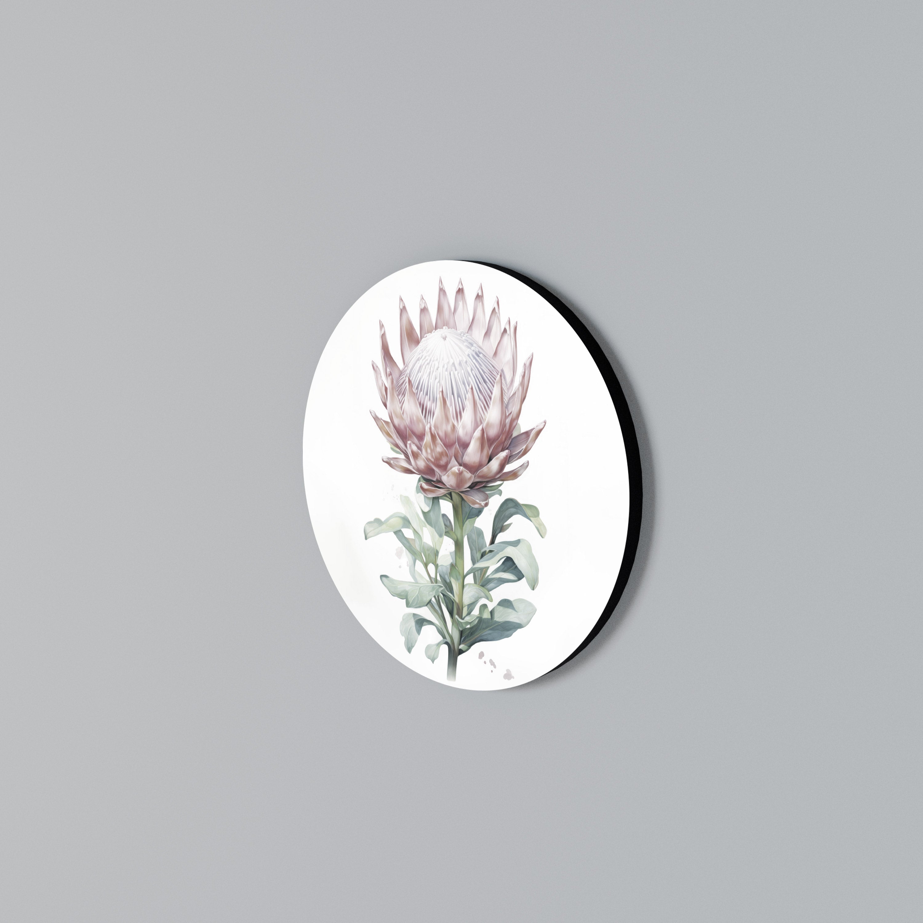 ROYAL PROTEA Round Wall Art