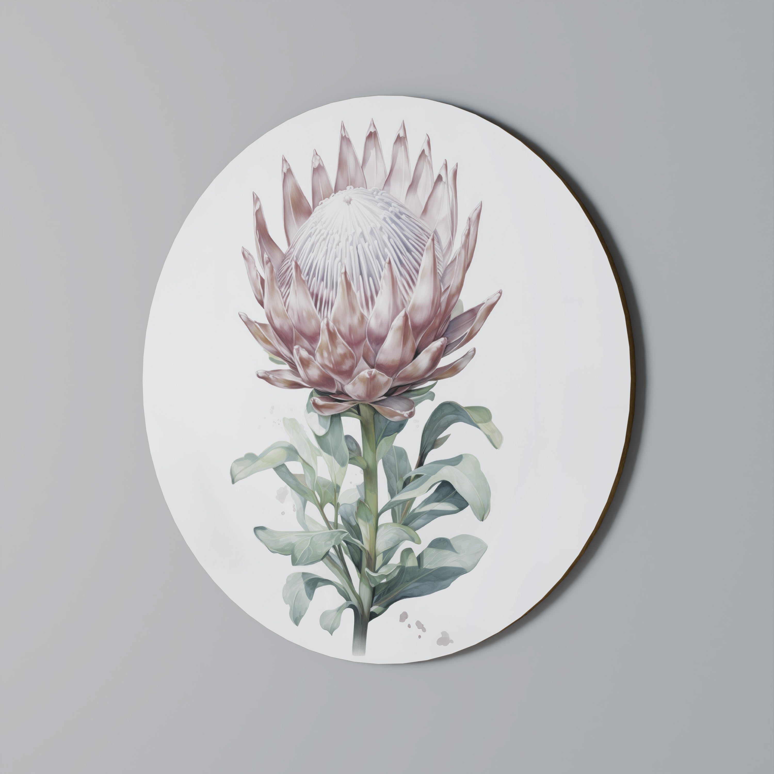 Arte de pared redondo ROYAL PROTEA