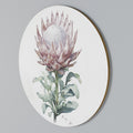 ROYAL PROTEA Arte de pared redondo