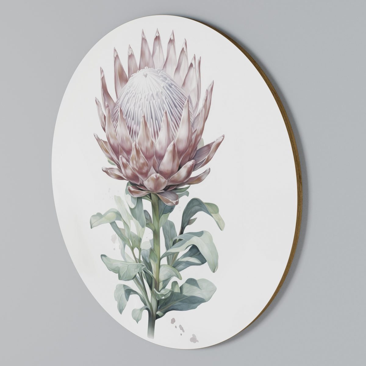 ROYAL PROTEA Round Wall Art
