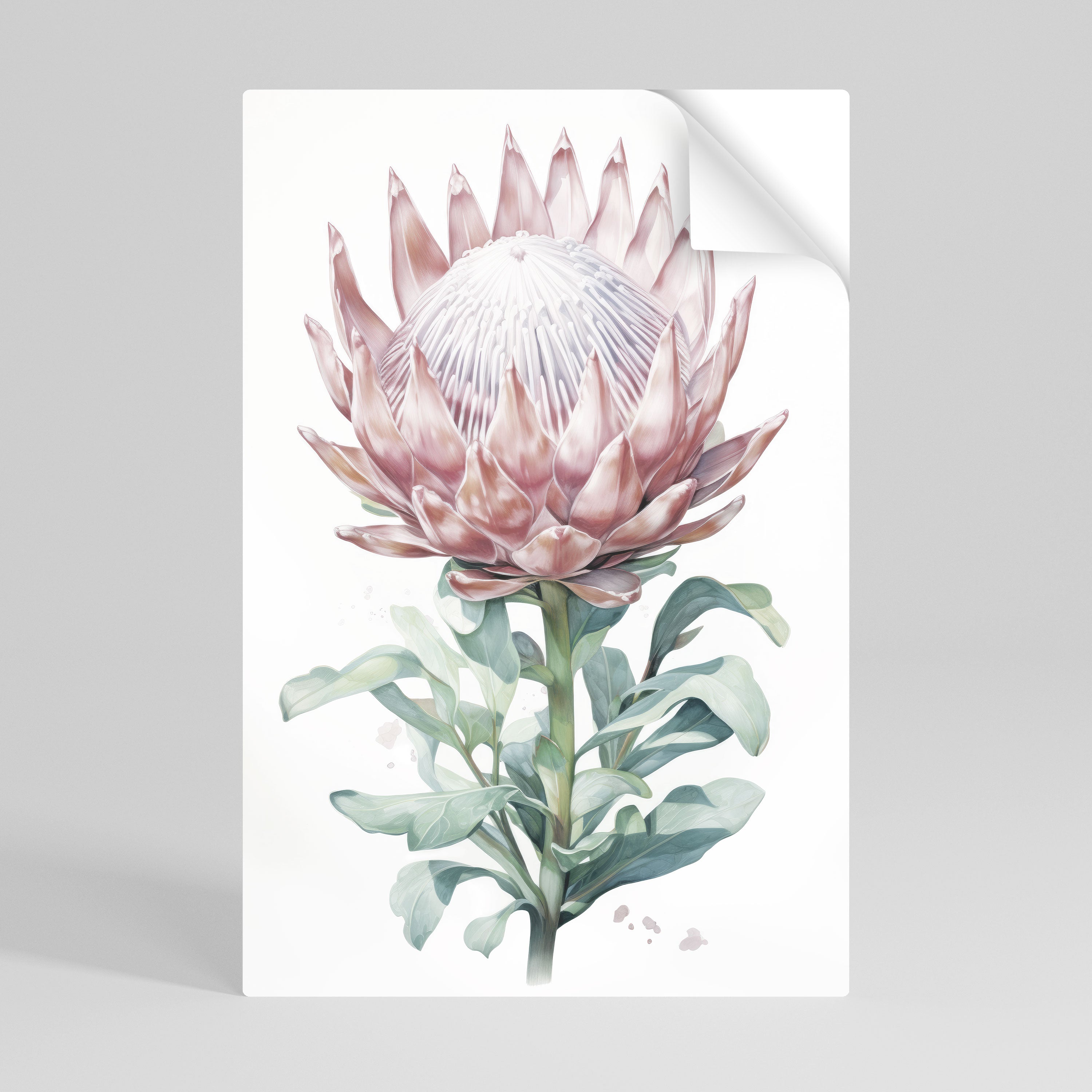 Póster vertical autoadhesivo ROYAL PROTEA