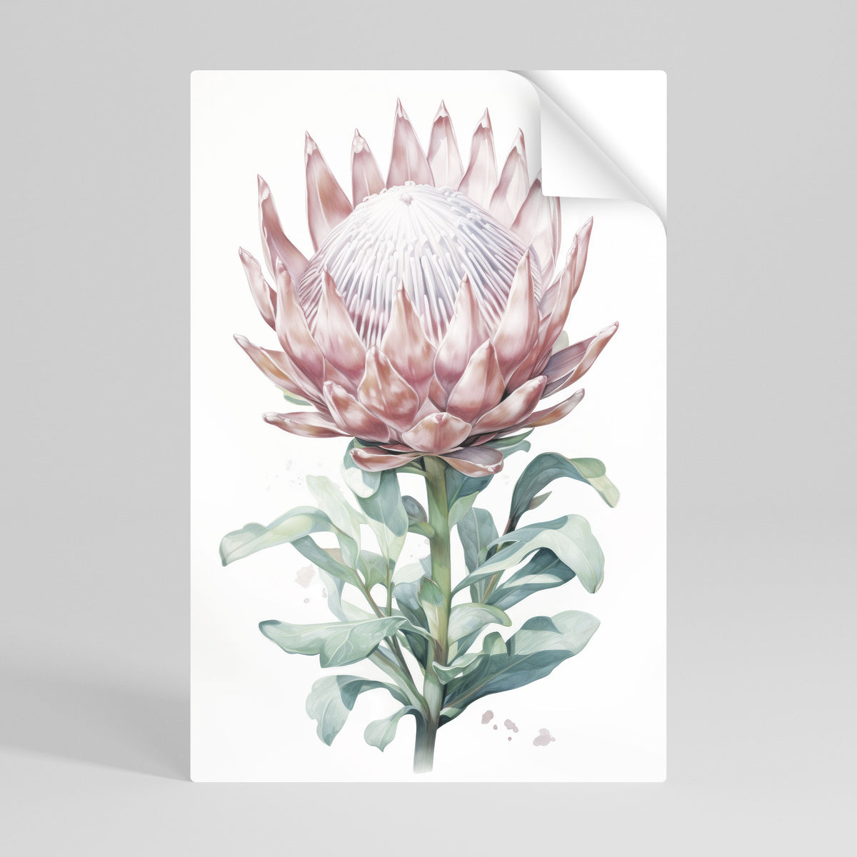 ROYAL PROTEA Peel and Stick Vertical Poster