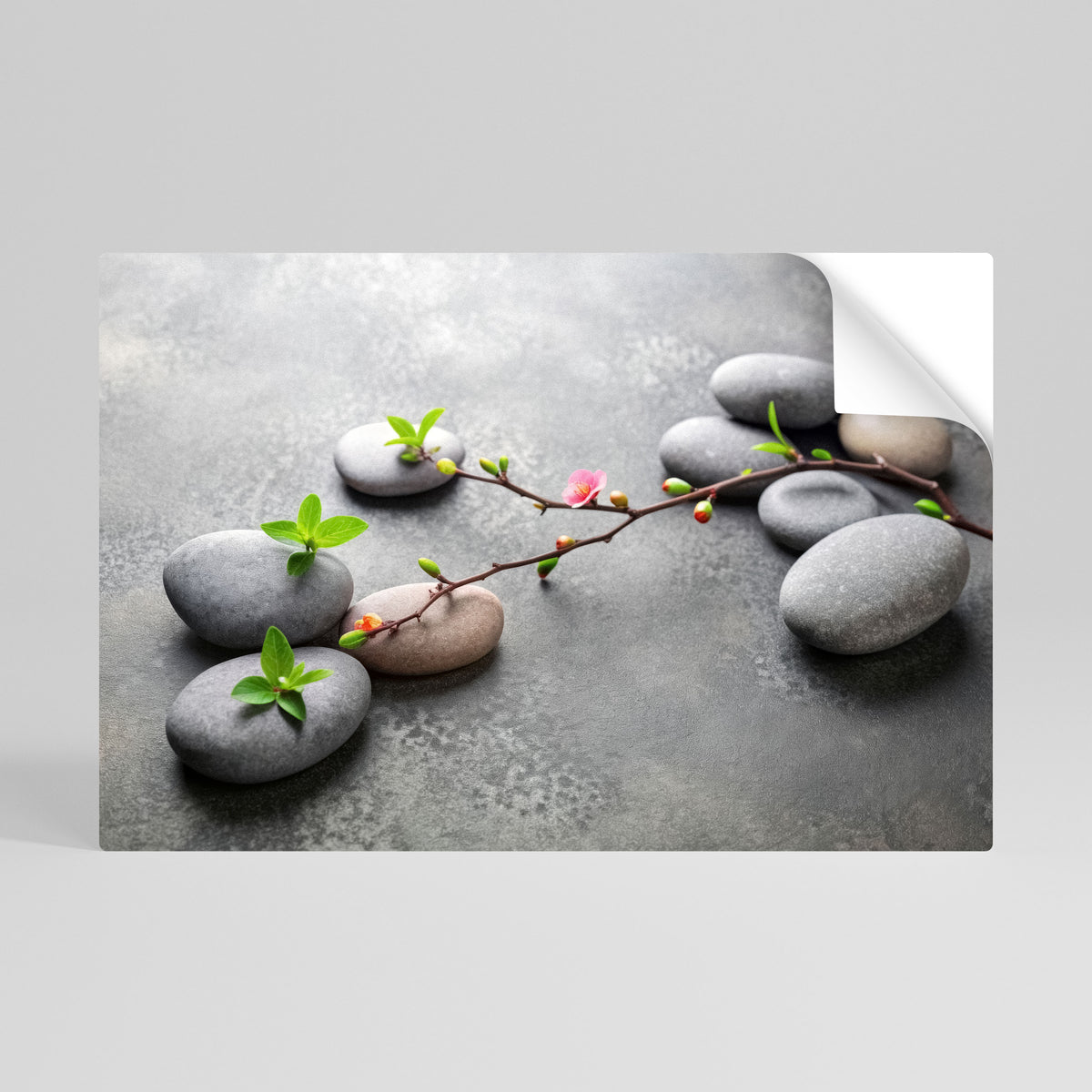 STONES AND BLOSSOMS Póster adhesivo horizontal