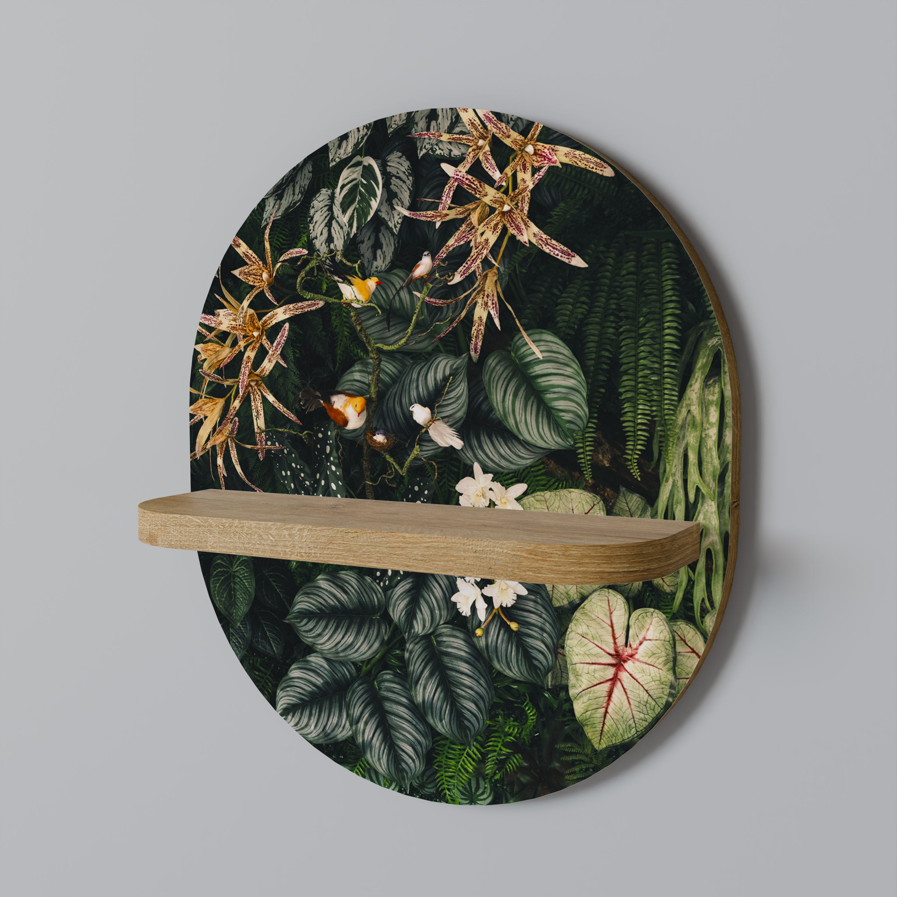 SILENT WILDERNESS Oval Art Shelf In Oak Effect