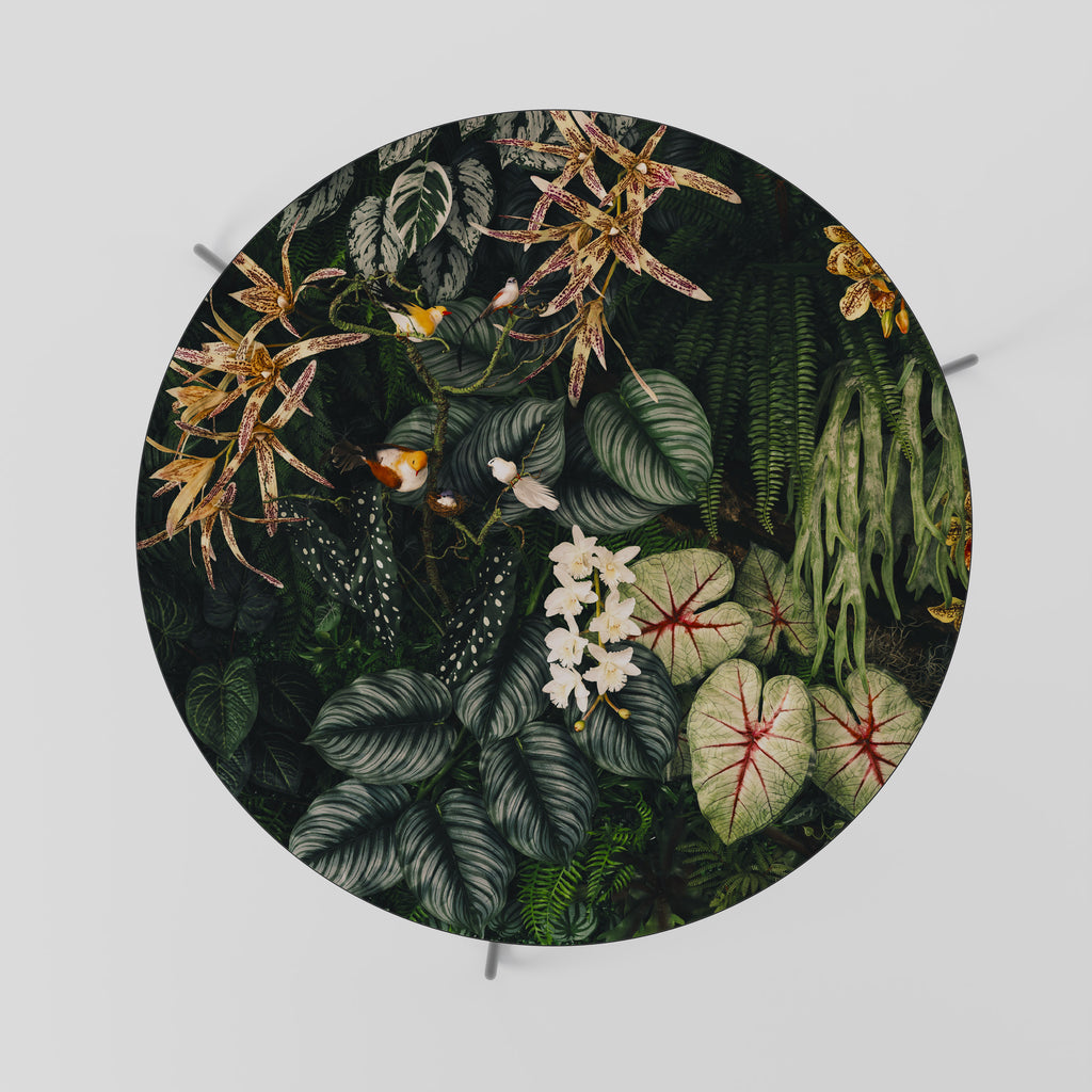 Mesa de centro SILENT WILDERNESS 69