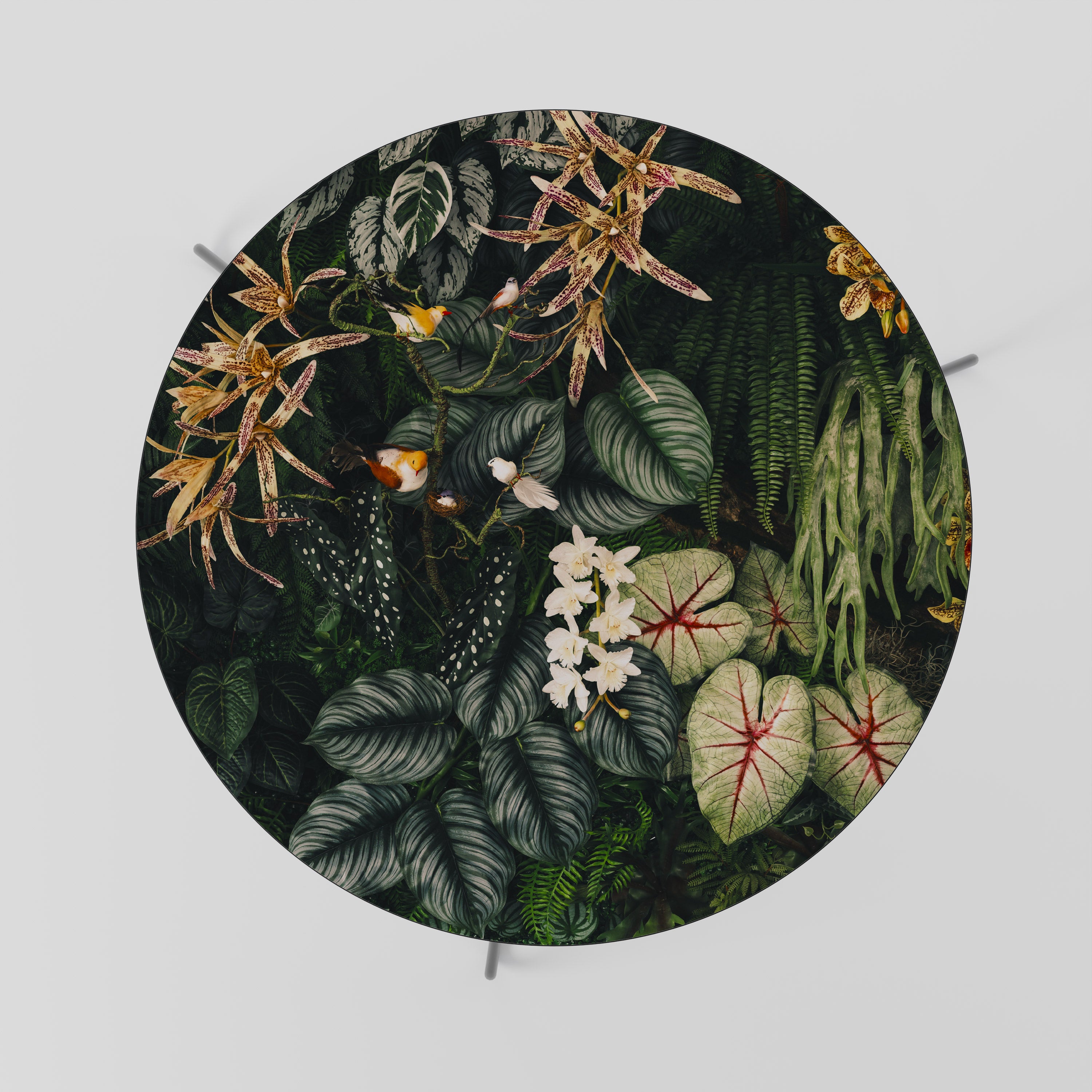 Mesa de centro SILENT WILDERNESS 69