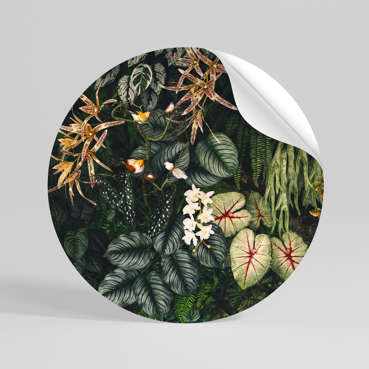 SILENT WILDERNESS Vinilo adhesivo redondo
