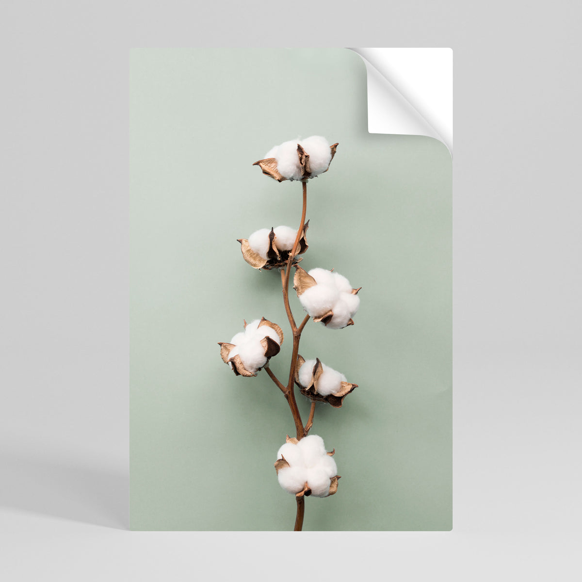 COTTON DREAMS UNFOLDED Peel and Stick Vertical Poster