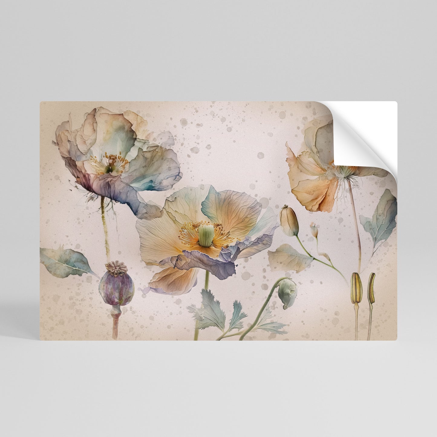 SOFTEN POPPY Póster adhesivo horizontal