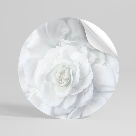ELEGANCE IN CLARITY Vinilo adhesivo redondo