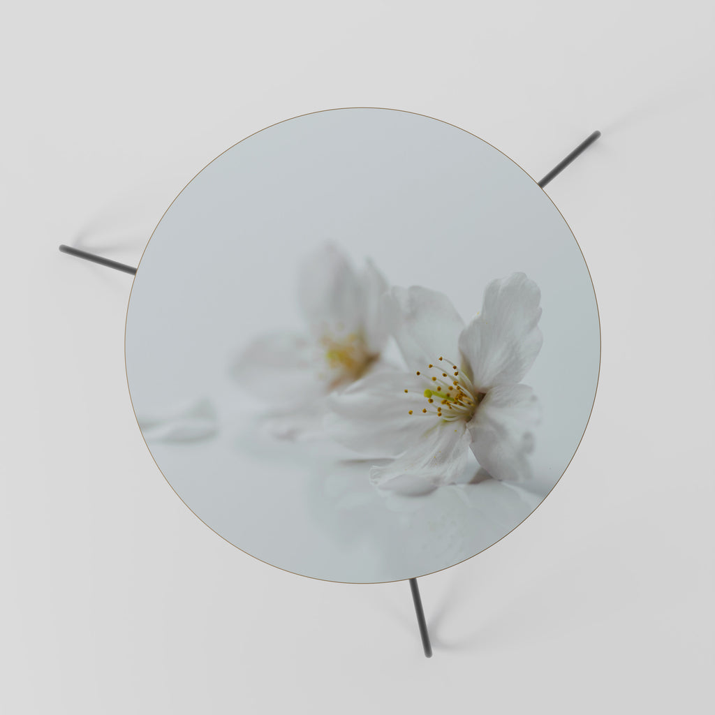 FLEETING WHITE PETALS Coffee Table 60