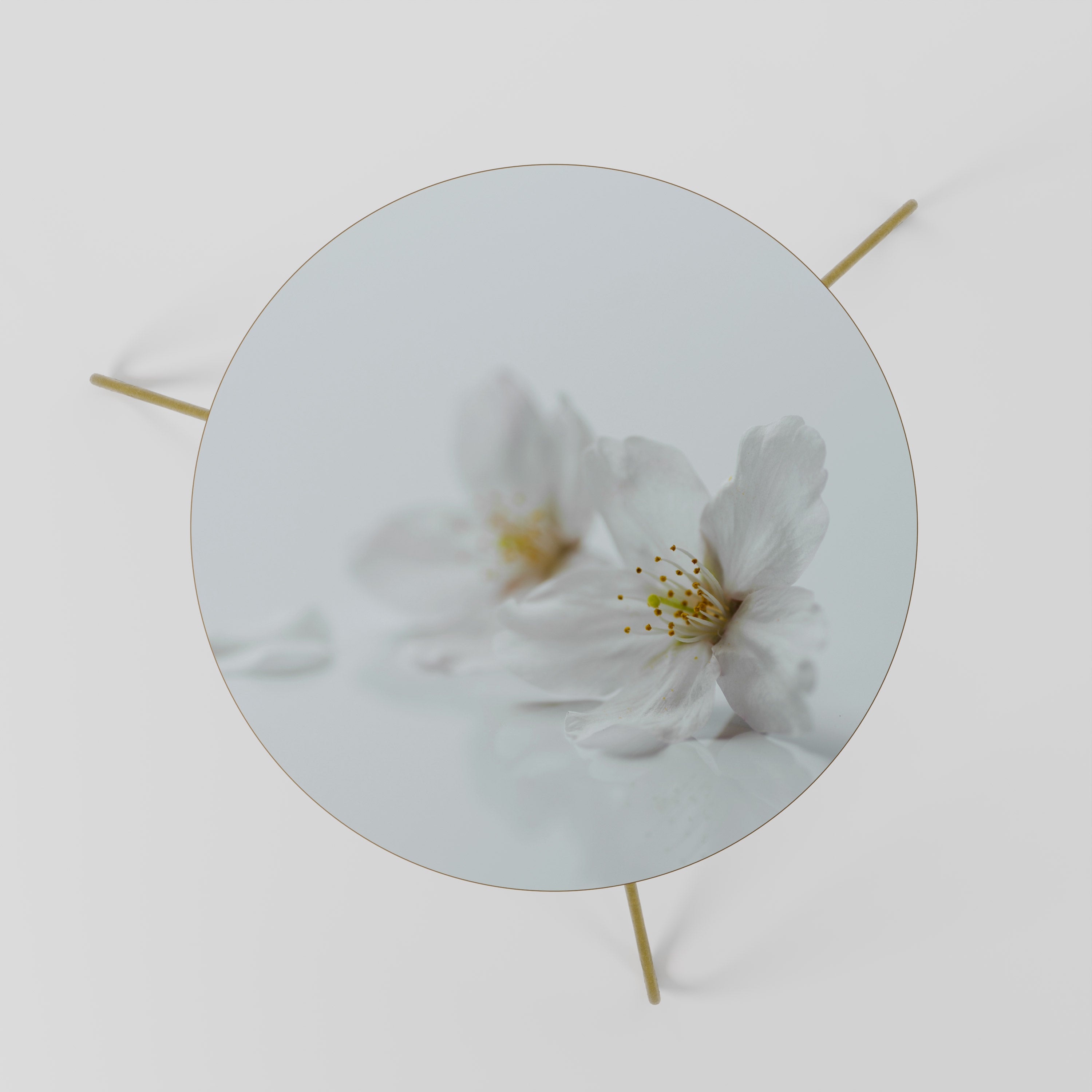 FLEETING WHITE PETALS Coffee Table 60