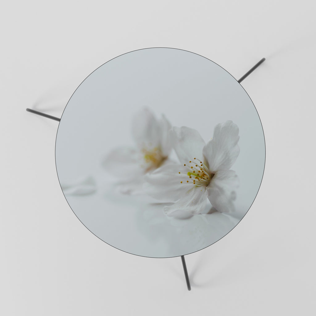 FLEETING WHITE PETALS Coffee Table 60