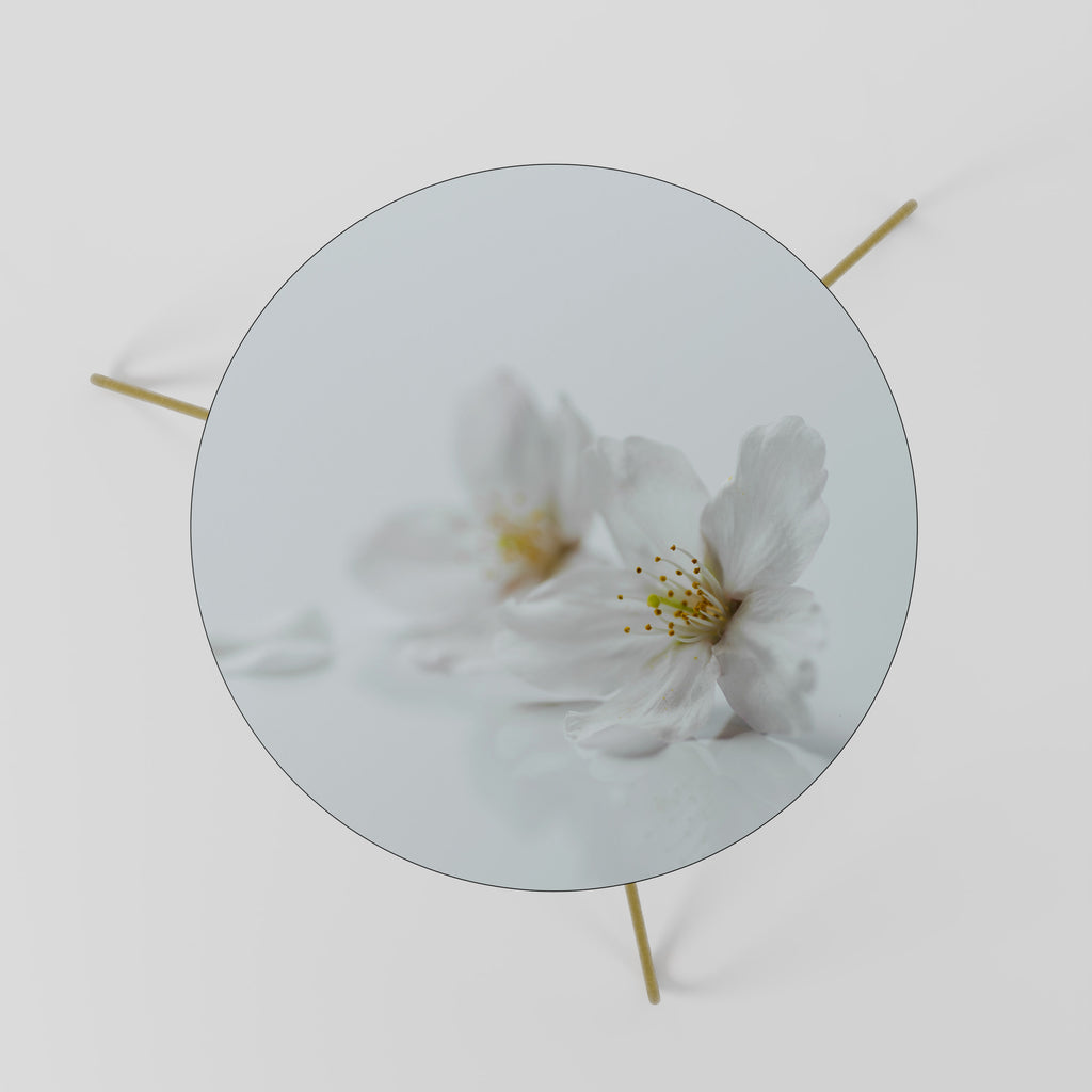 FLEETING WHITE PETALS Coffee Table 60