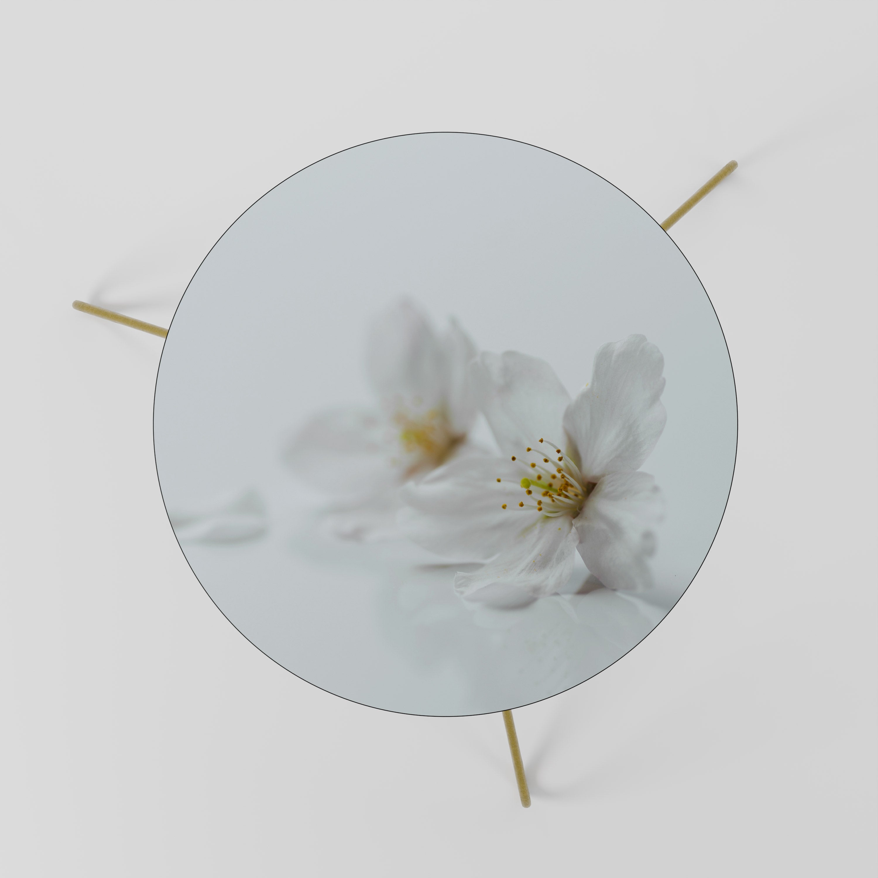 FLEETING WHITE PETALS Coffee Table 60