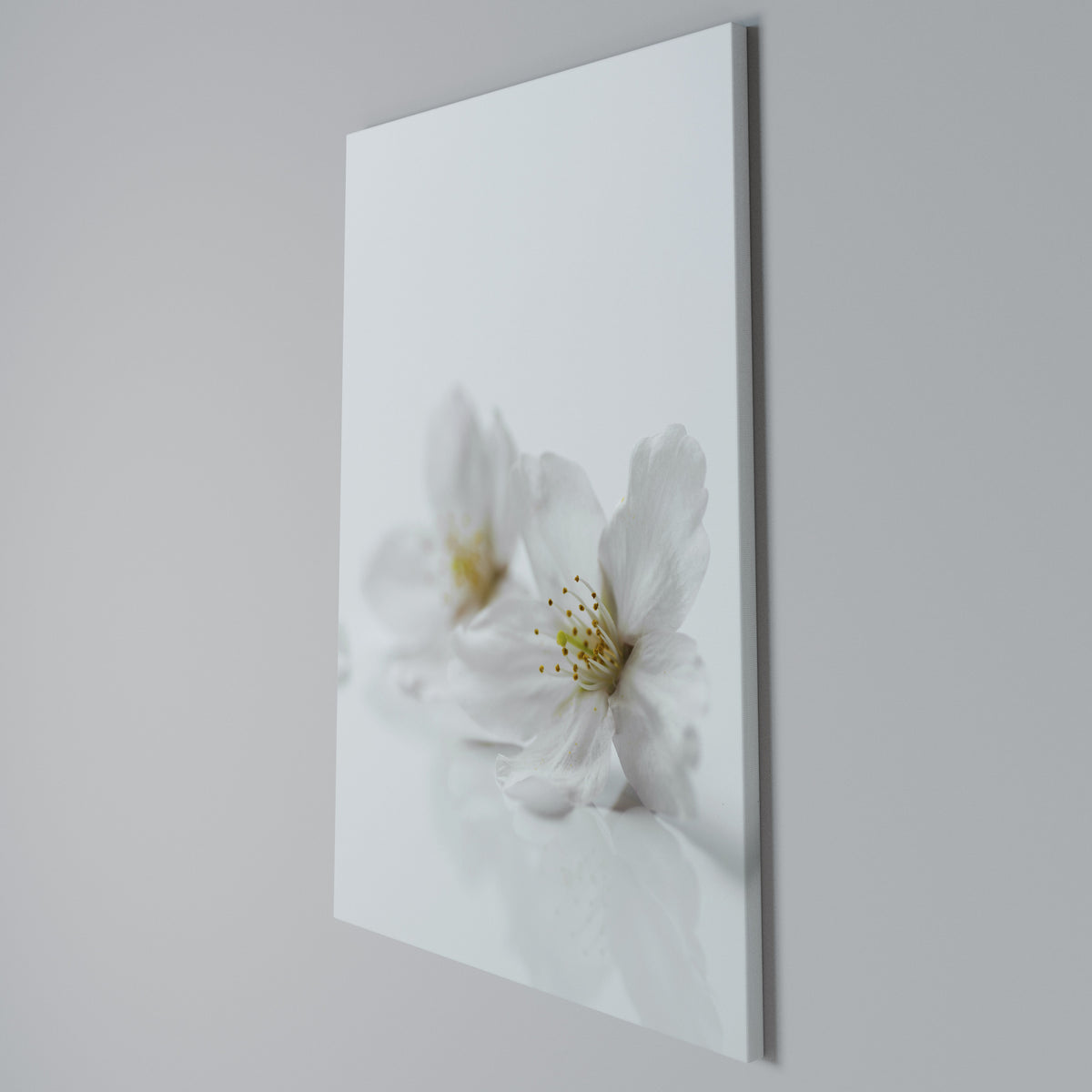 FLEETING WHITE PETALS Cuadro en lienzo vertical