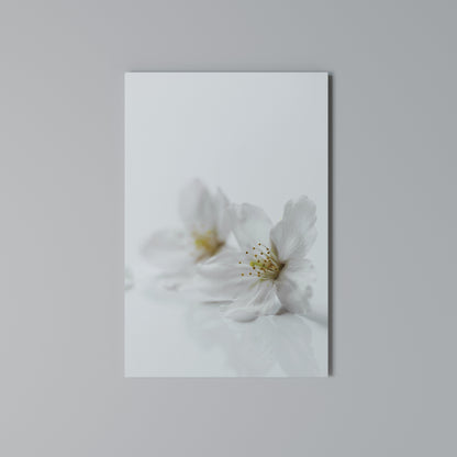 FLEETING WHITE PETALS Cuadro en lienzo vertical