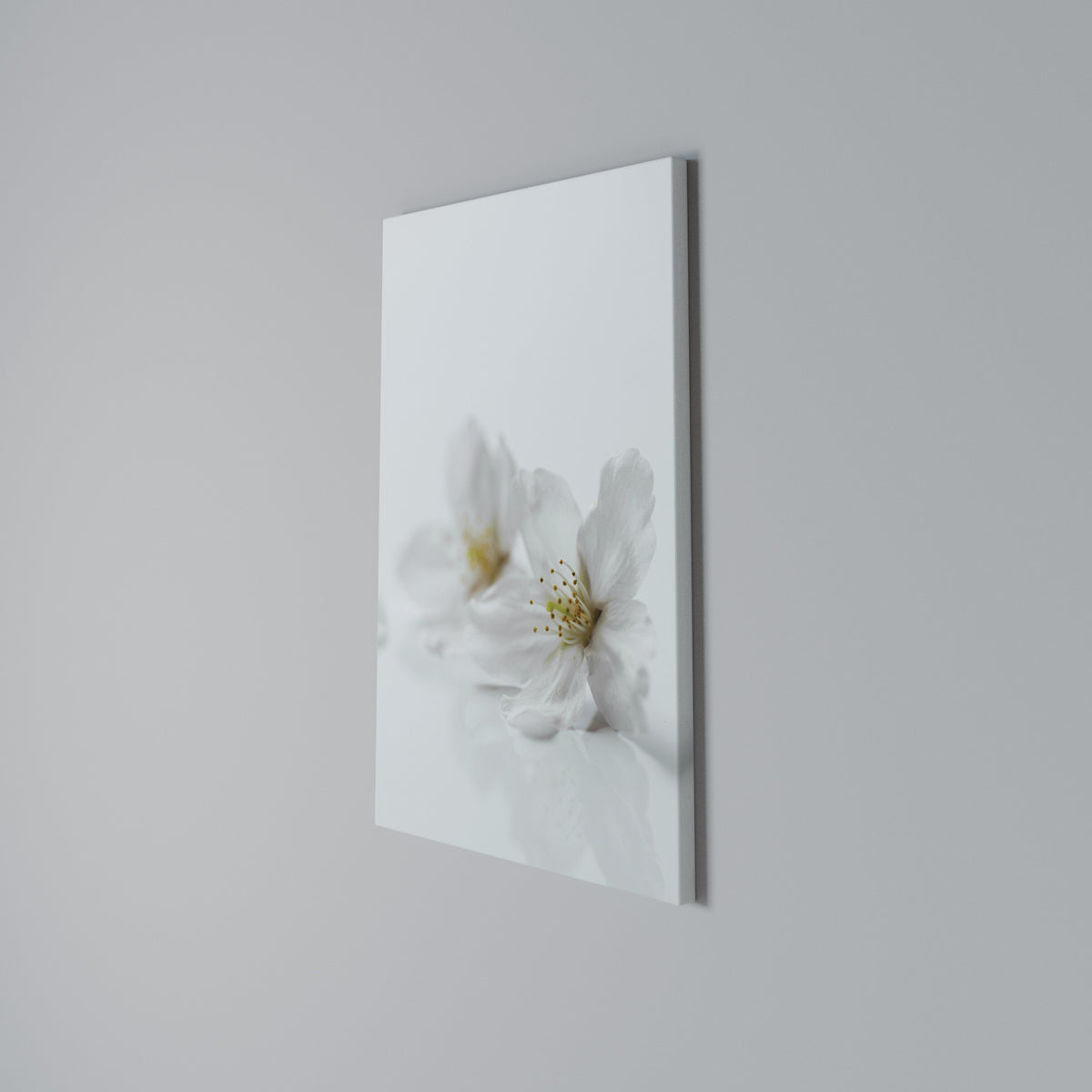 FLEETING WHITE PETALS Cuadro en lienzo vertical
