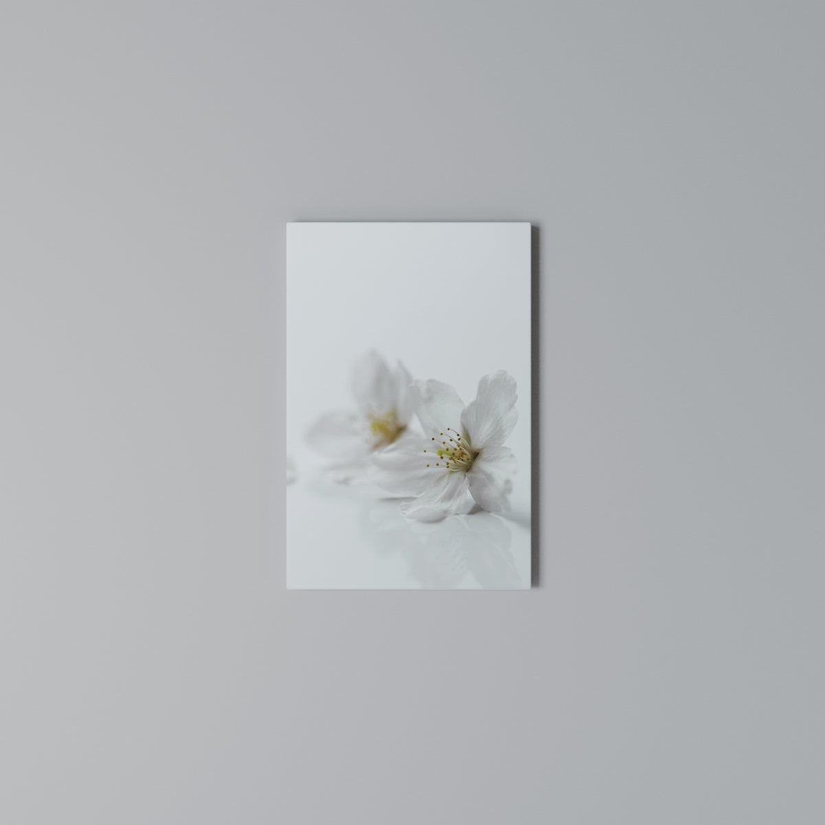 FLEETING WHITE PETALS Cuadro en lienzo vertical