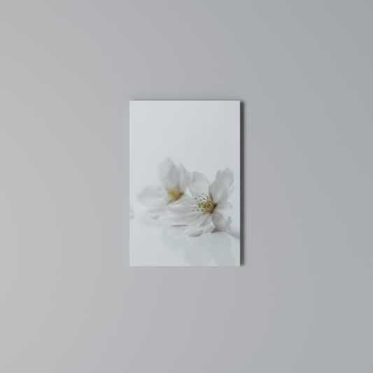 FLEETING WHITE PETALS Cuadro en lienzo vertical