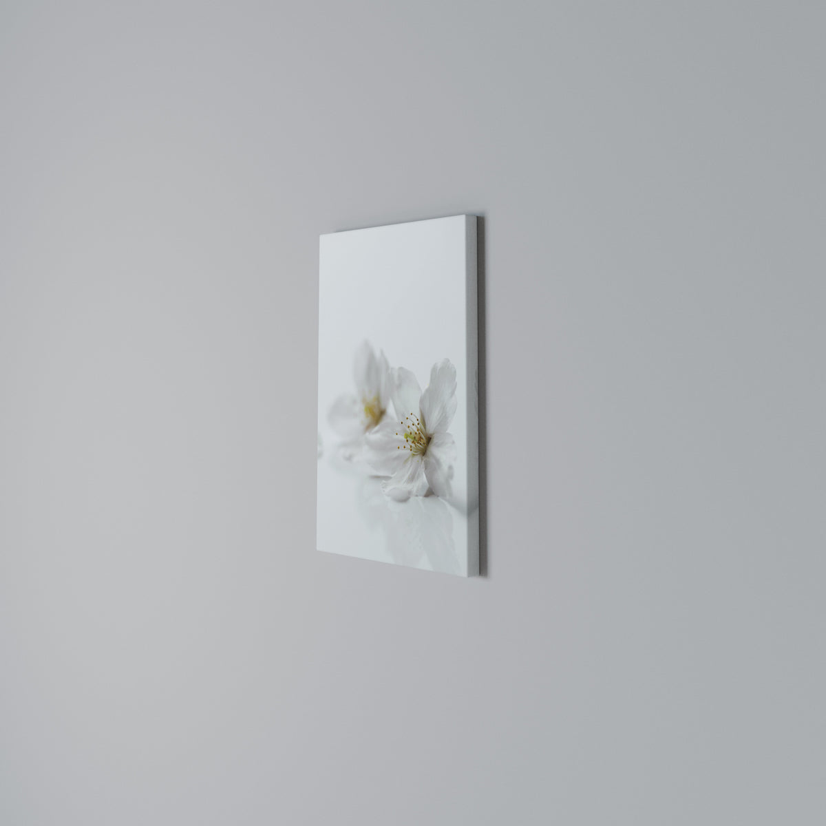 FLEETING WHITE PETALS Cuadro en lienzo vertical