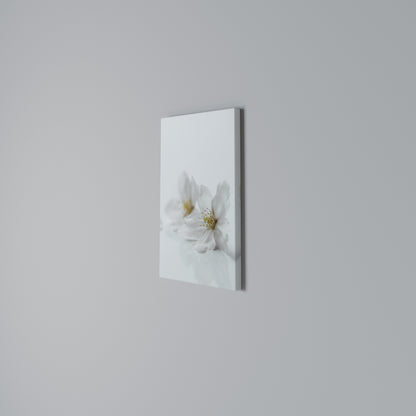 FLEETING WHITE PETALS Cuadro en lienzo vertical