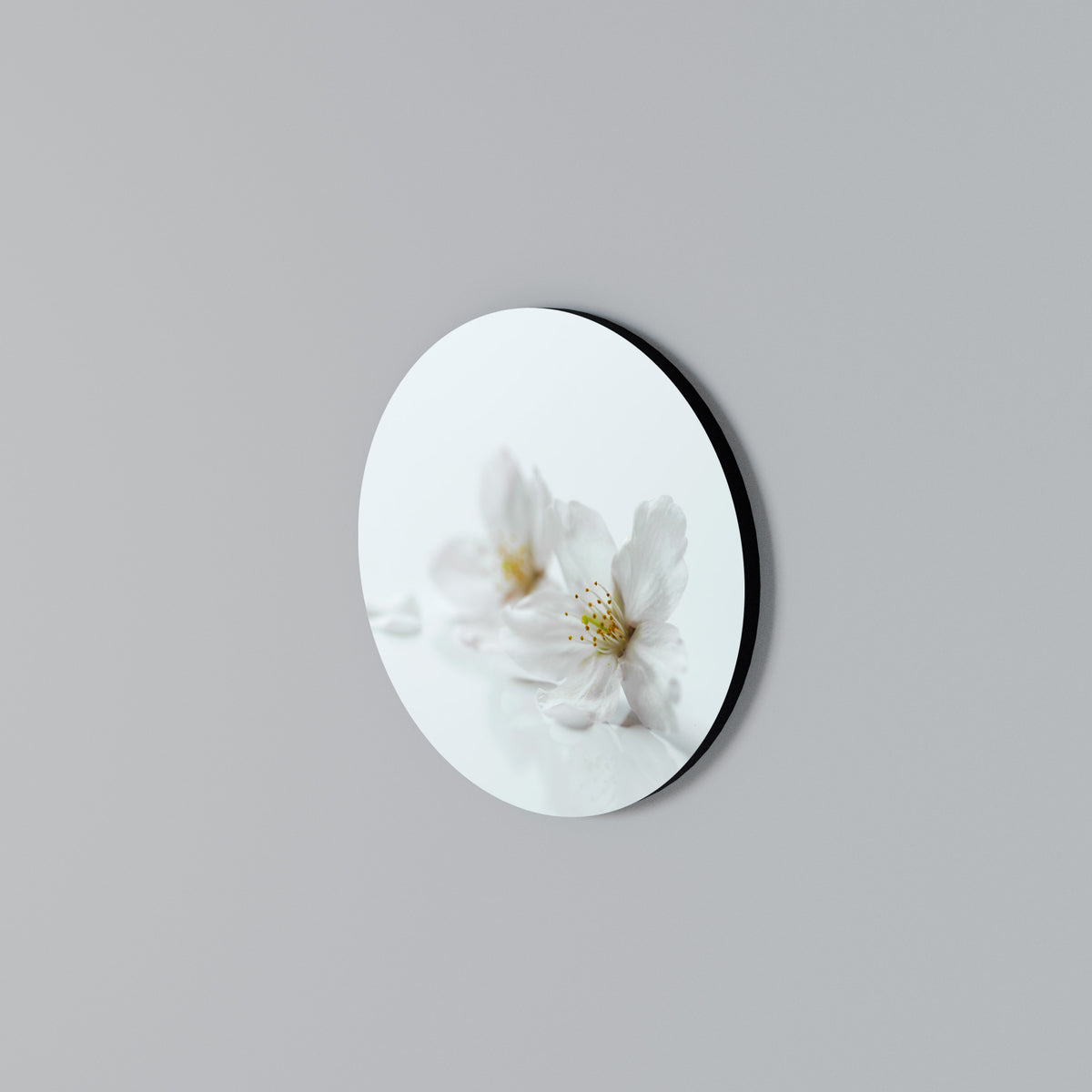 FLEETING WHITE PETALS Arte de pared redondo