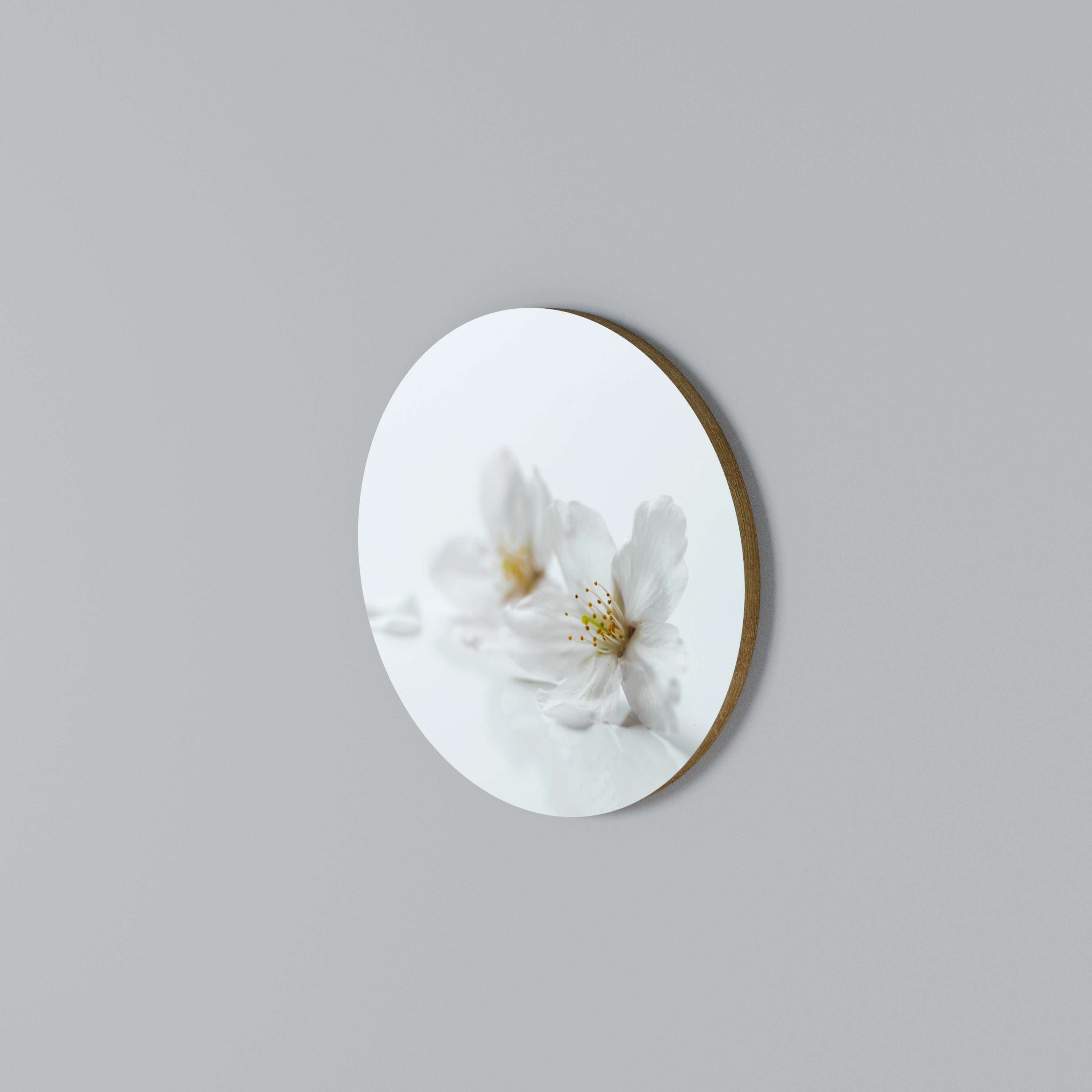 FLEETING WHITE PETALS Round Wall Art