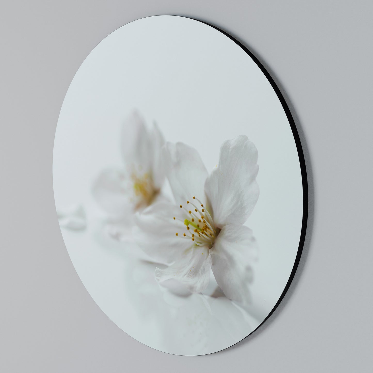 FLEETING WHITE PETALS Arte de pared redondo