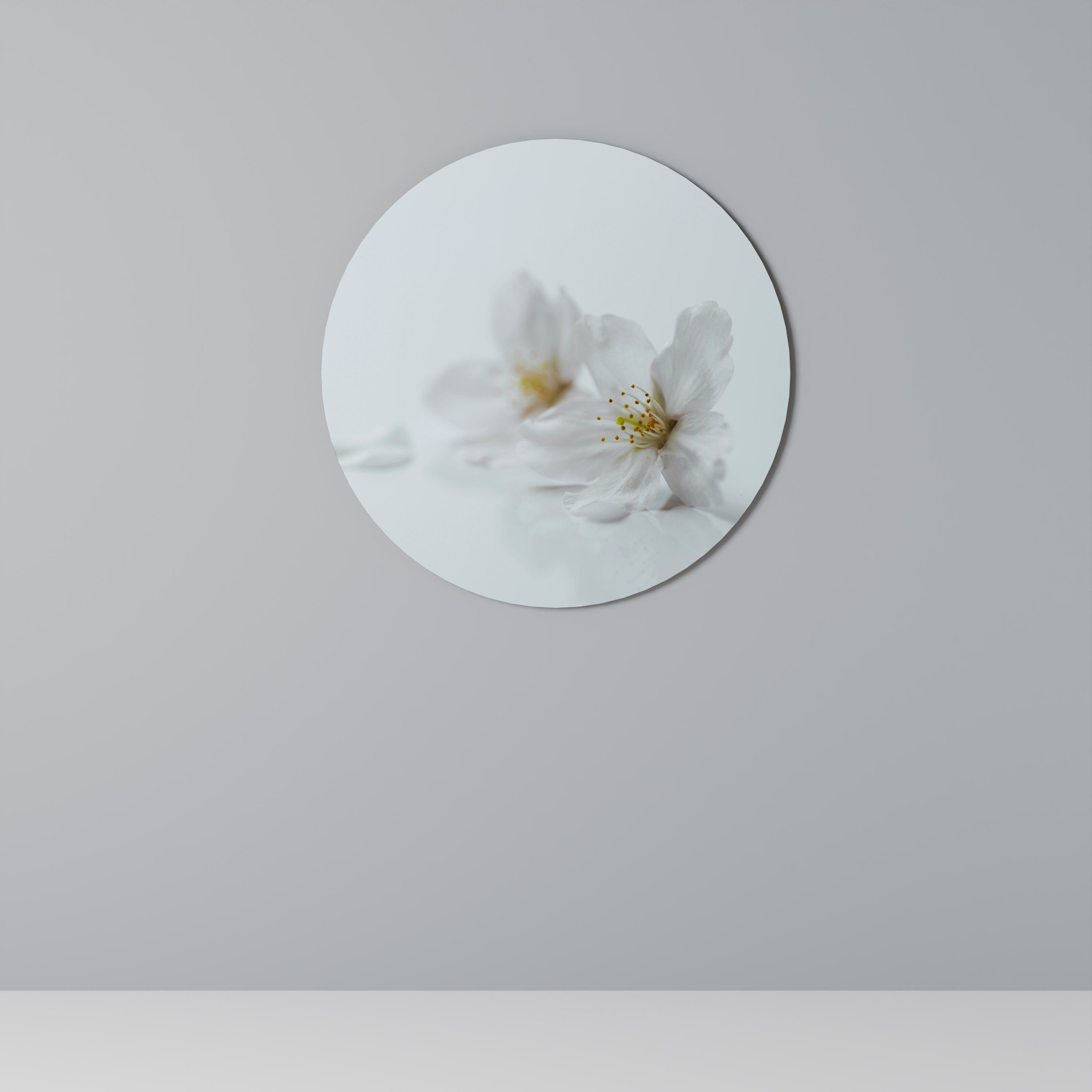 PÉTALOS BLANCOS FUGACES Arte de pared redondo