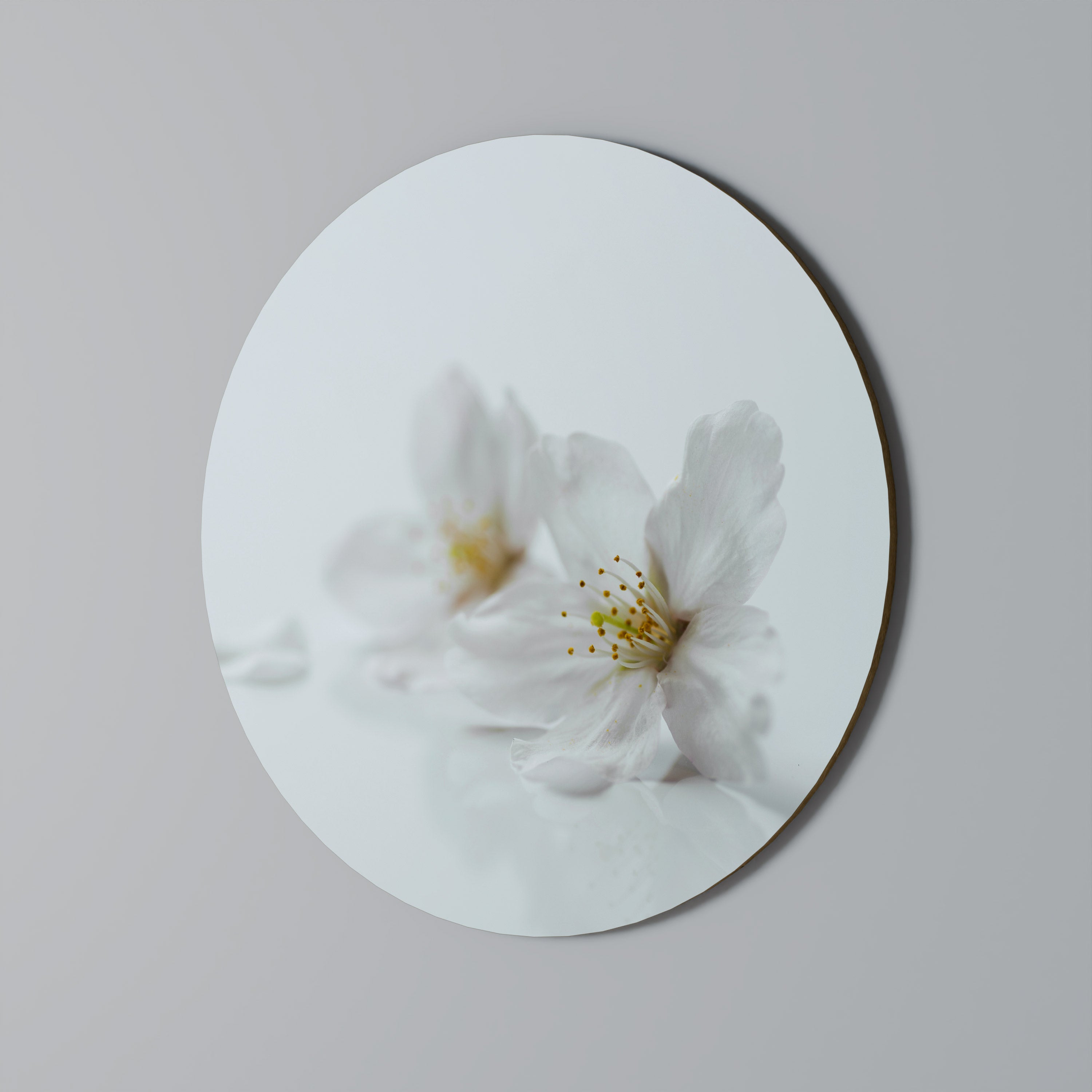 PÉTALOS BLANCOS FUGACES Arte de pared redondo