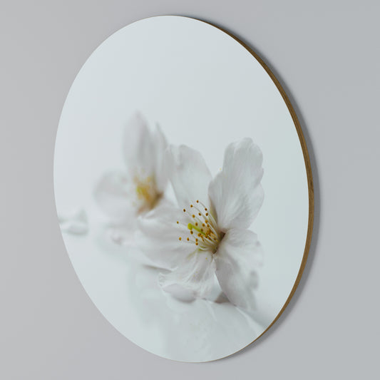 FLEETING WHITE PETALS Arte de pared redondo