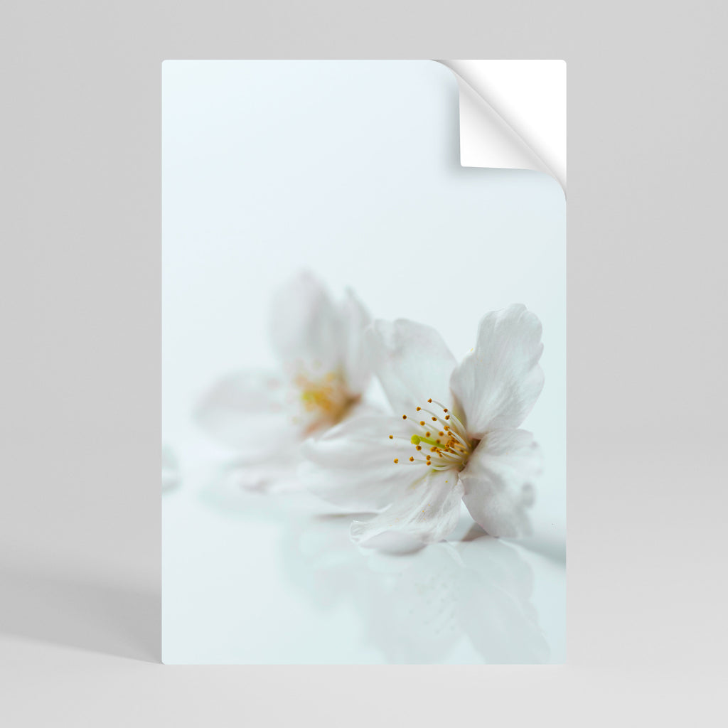 Póster vertical autoadhesivo PÉTALOS BLANCOS FUGITIVOS
