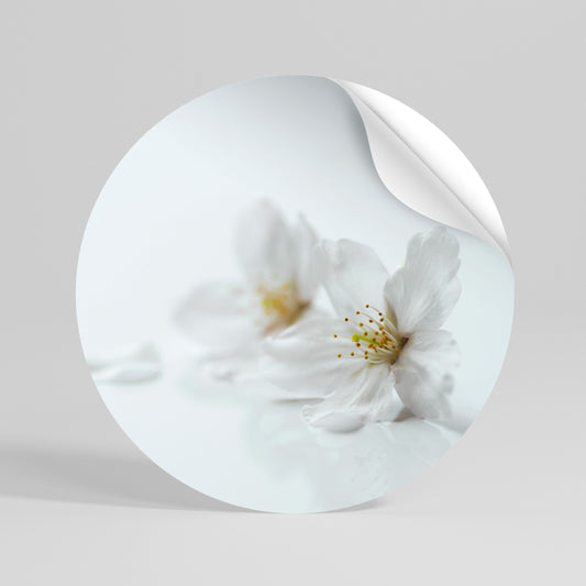 FLEETING WHITE PETALS Vinilo adhesivo redondo