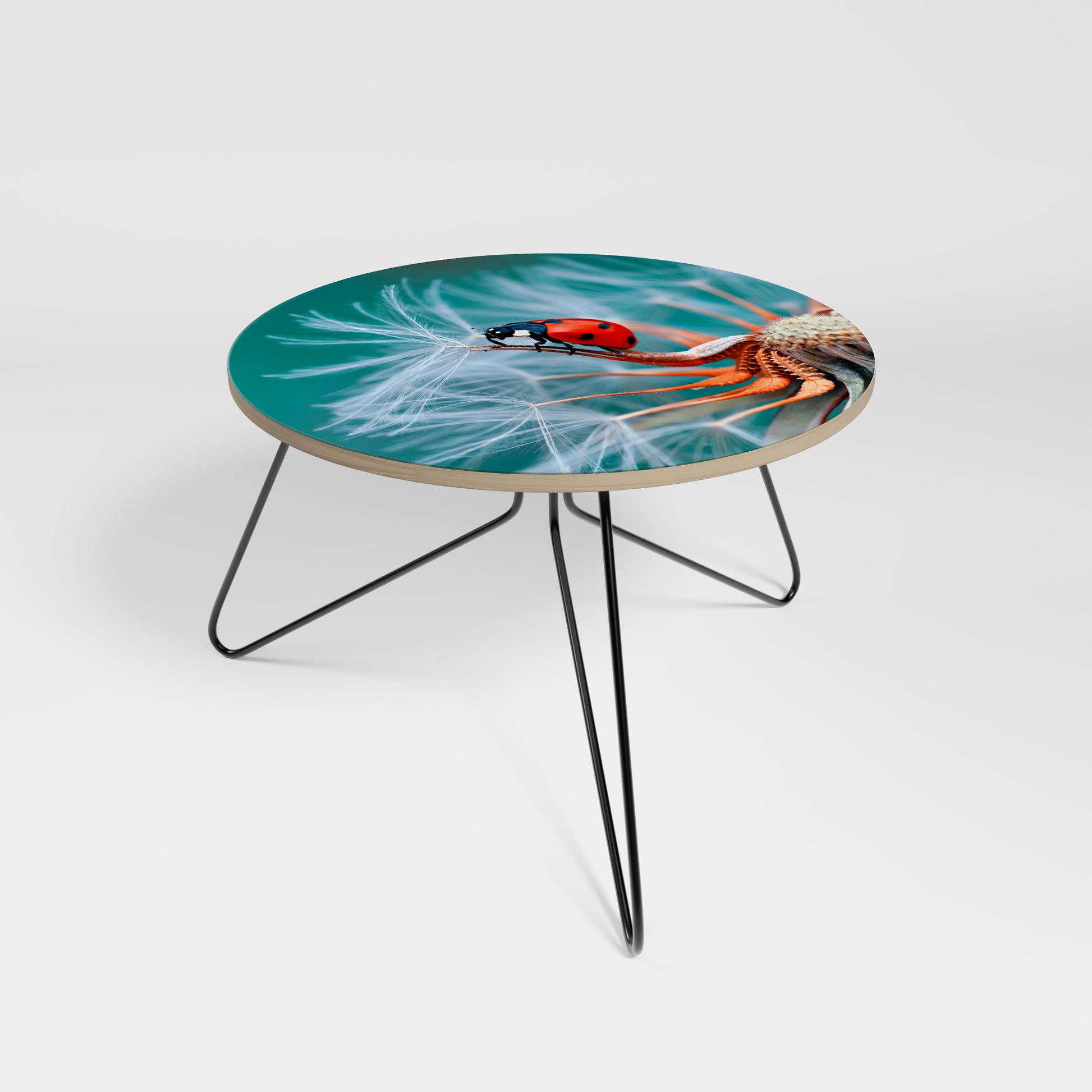 Mesa de centro LADYBUG BALANCE 60