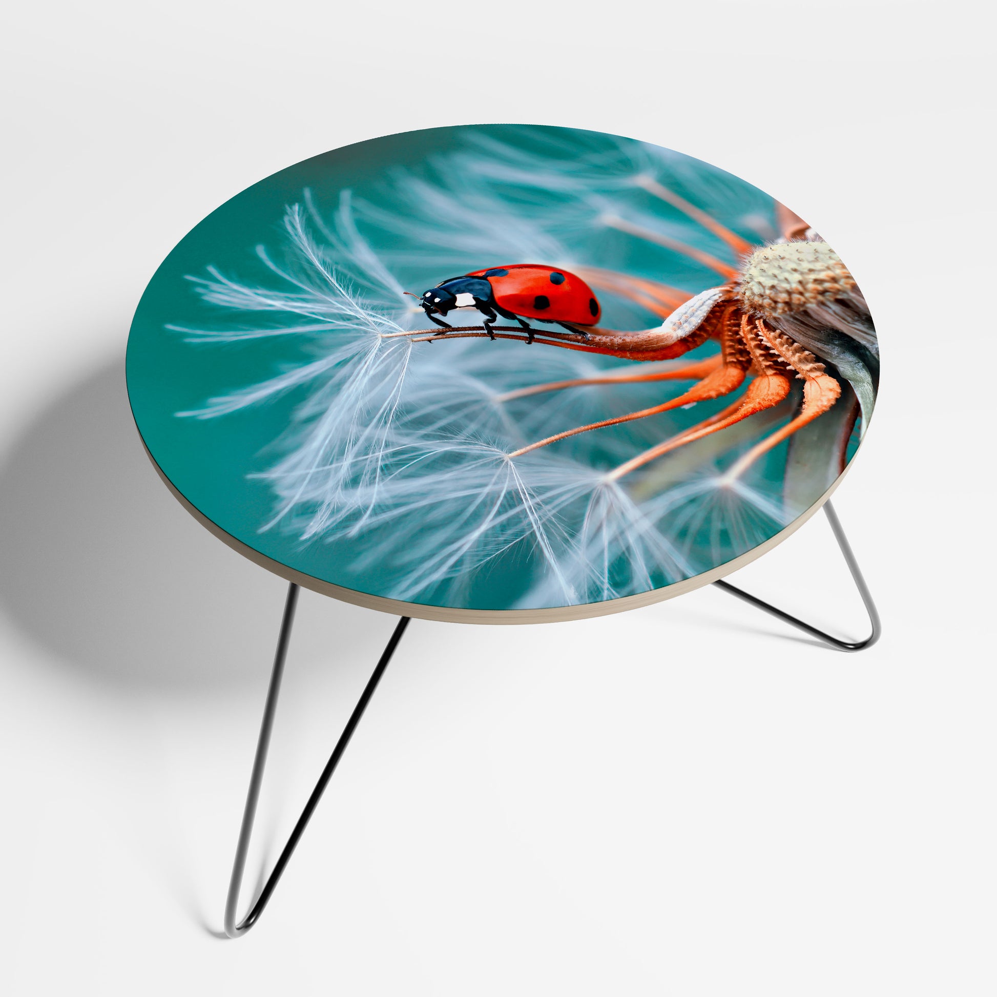 Mesa de centro LADYBUG BALANCE 60