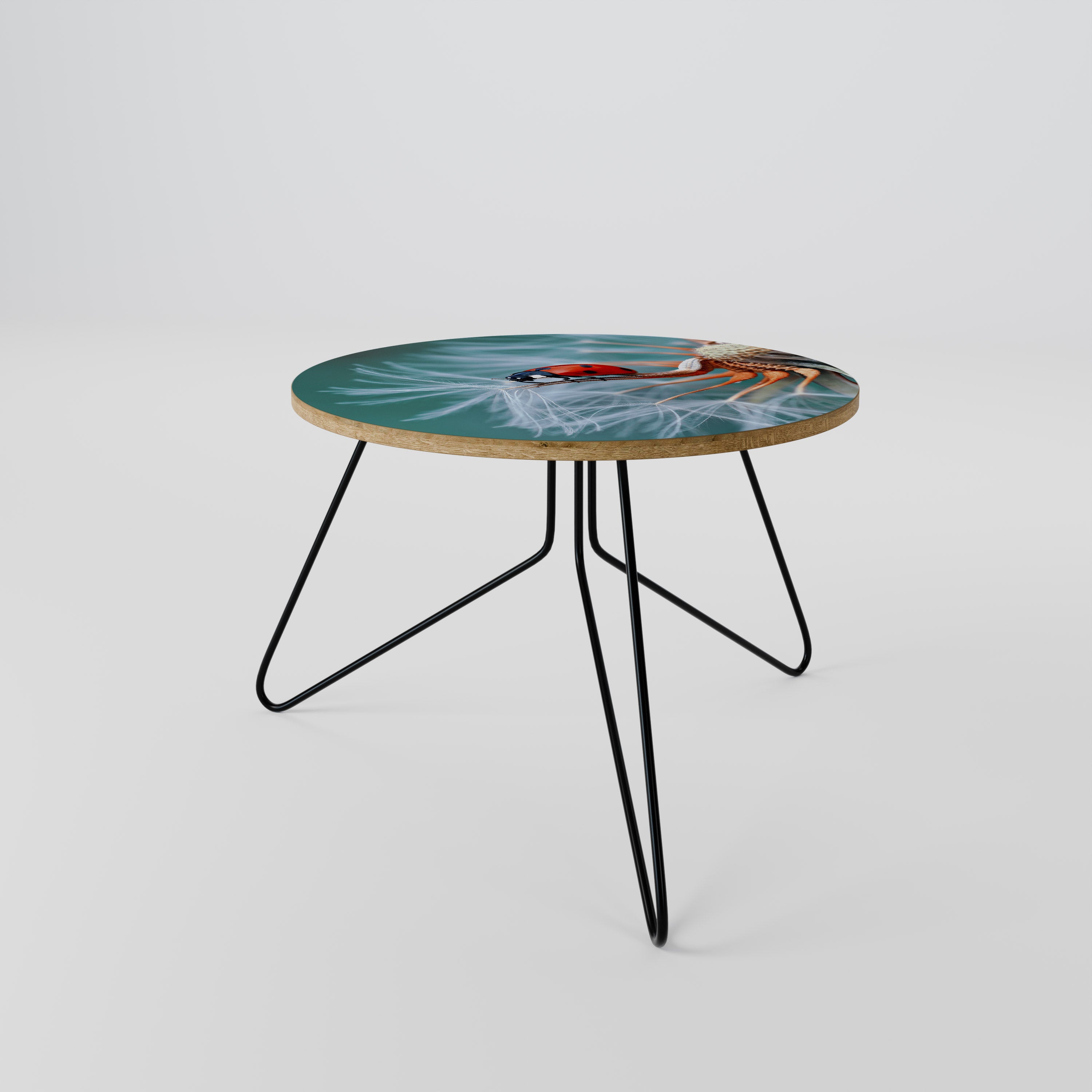 LADYBUG BALANCE Coffee Table 60