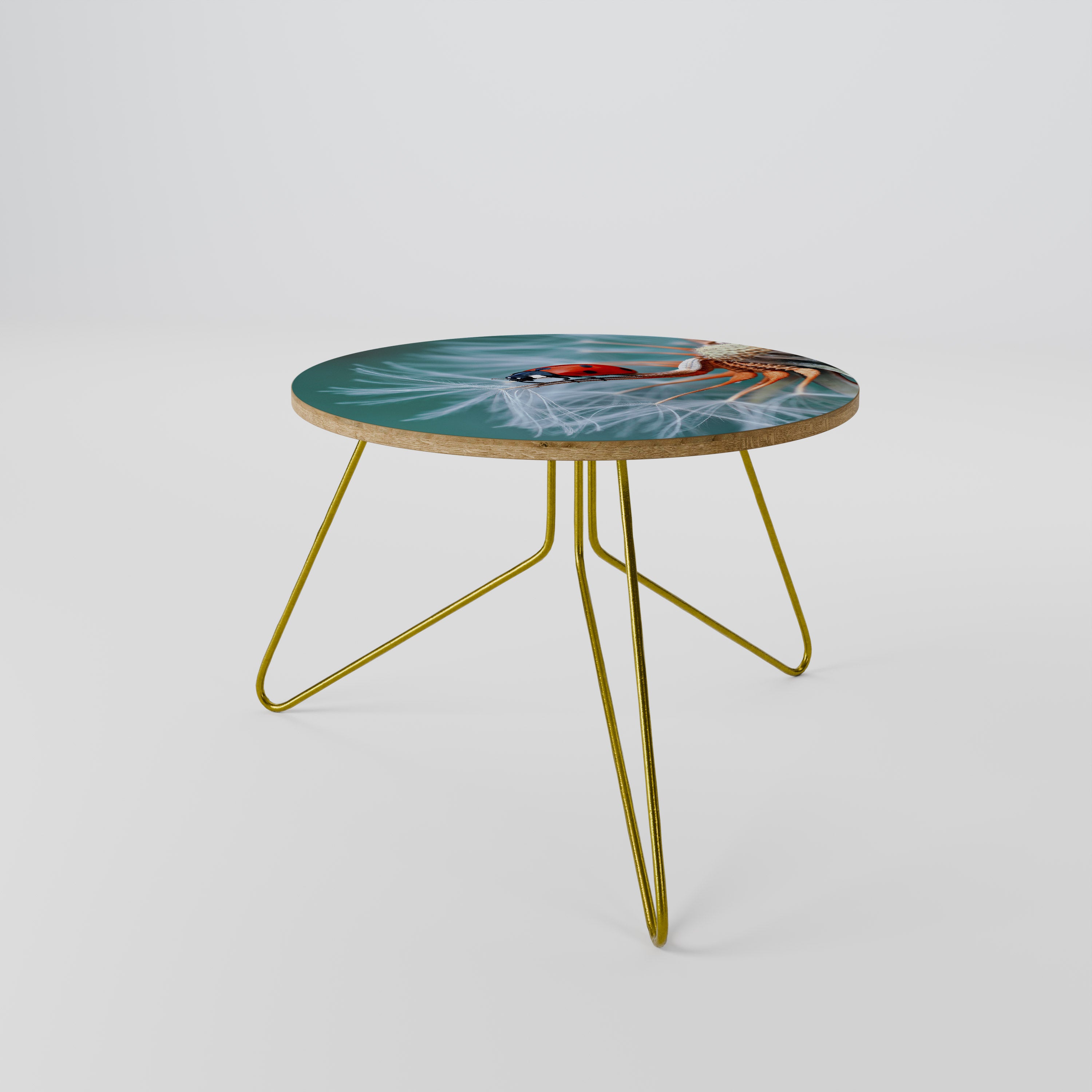 LADYBUG BALANCE Coffee Table 60