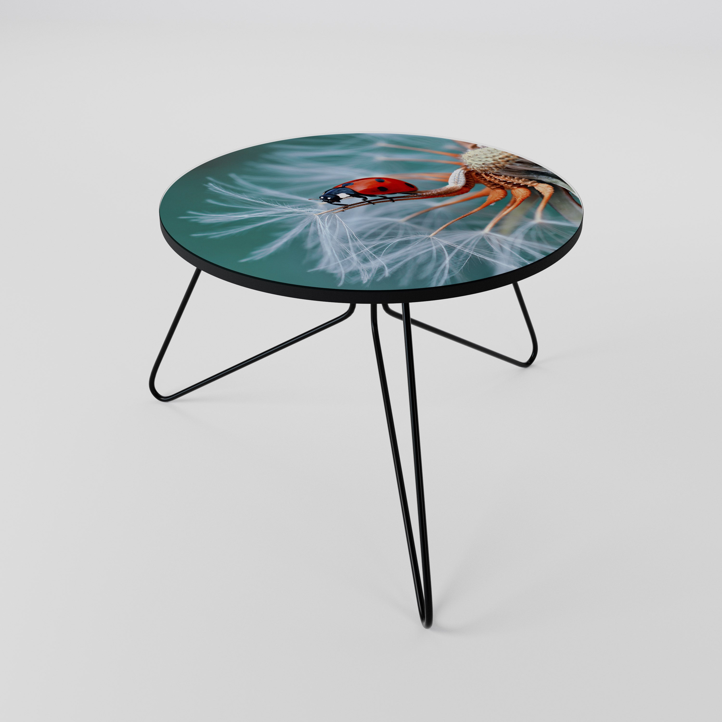 LADYBUG BALANCE Coffee Table 60