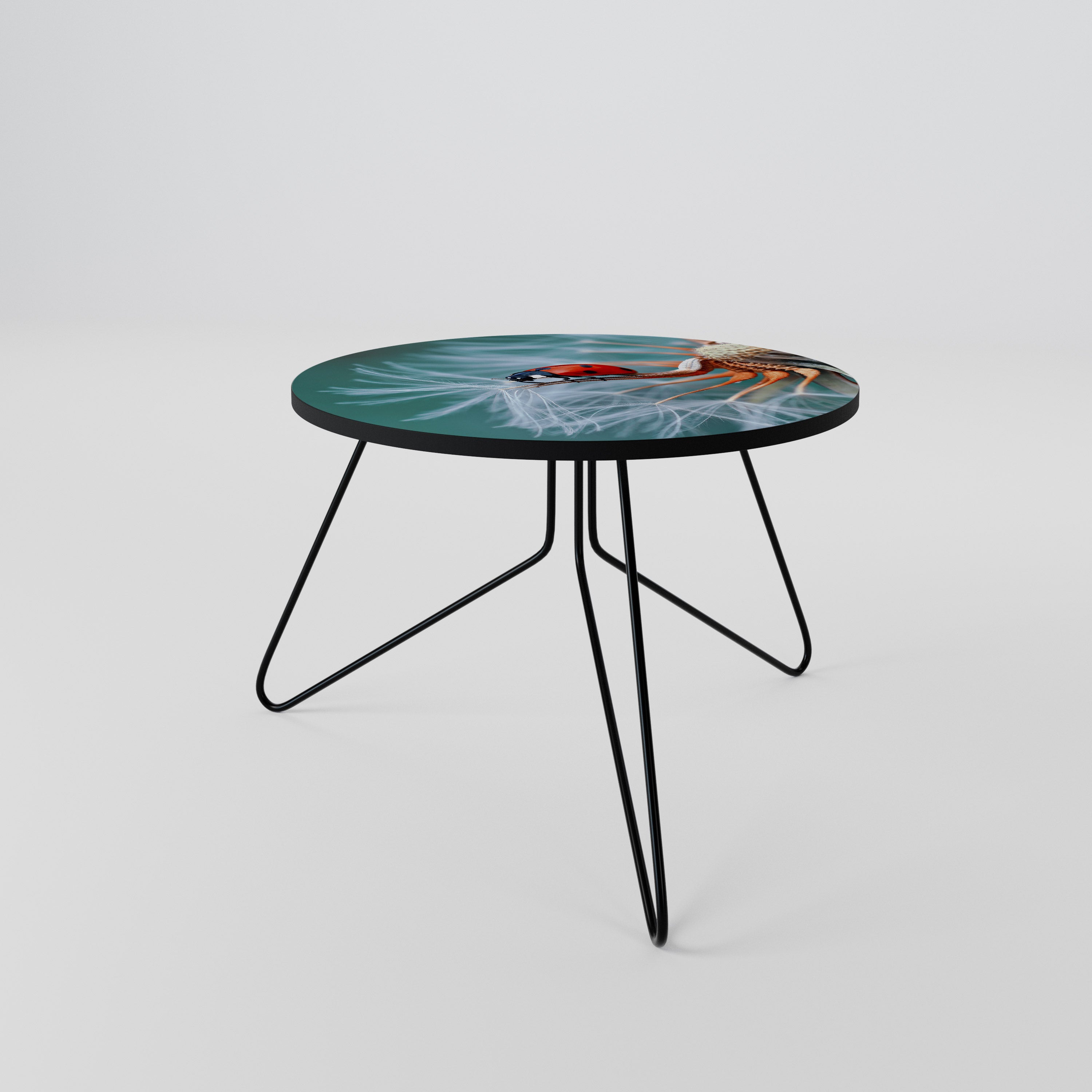 LADYBUG BALANCE Coffee Table 60