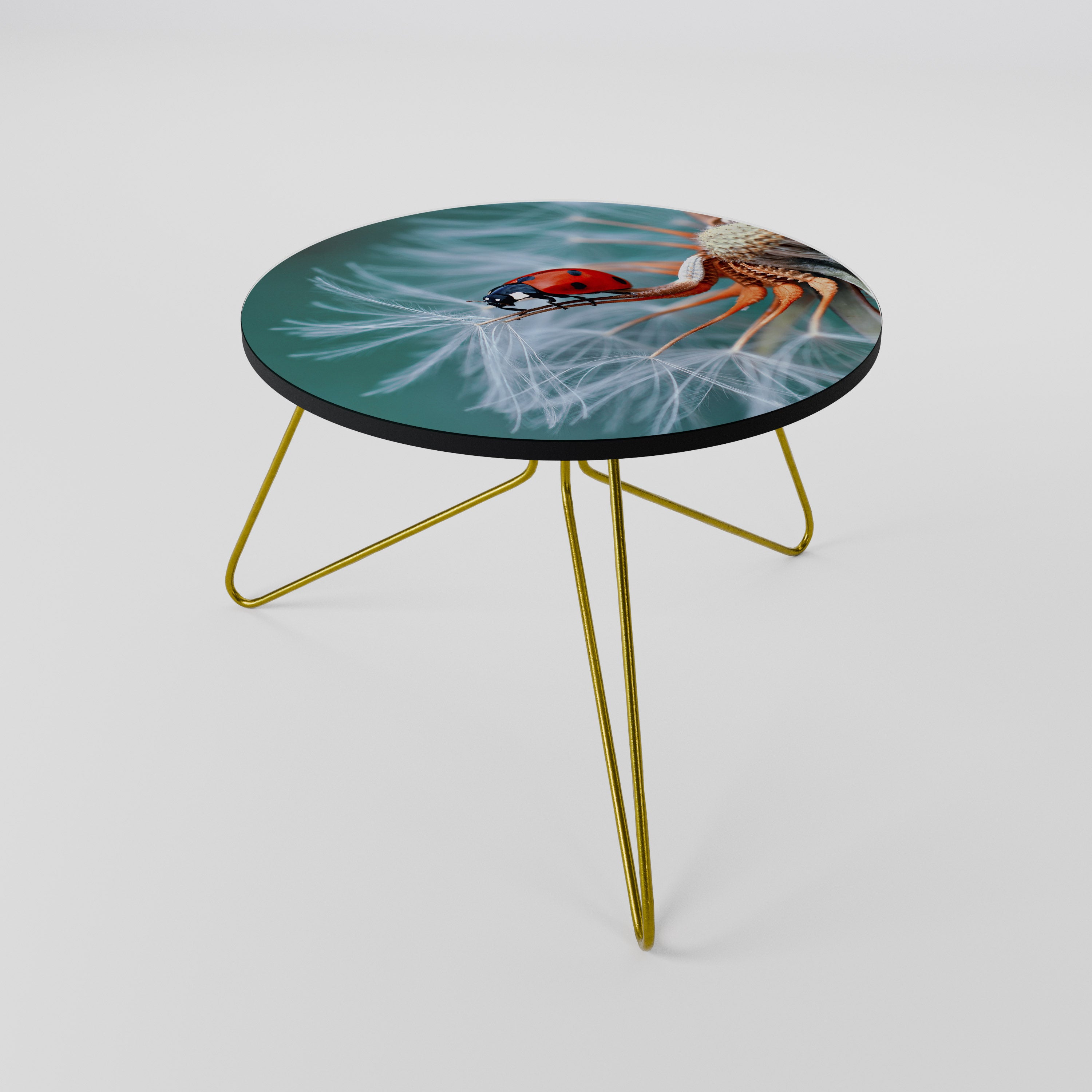 LADYBUG BALANCE Coffee Table 60