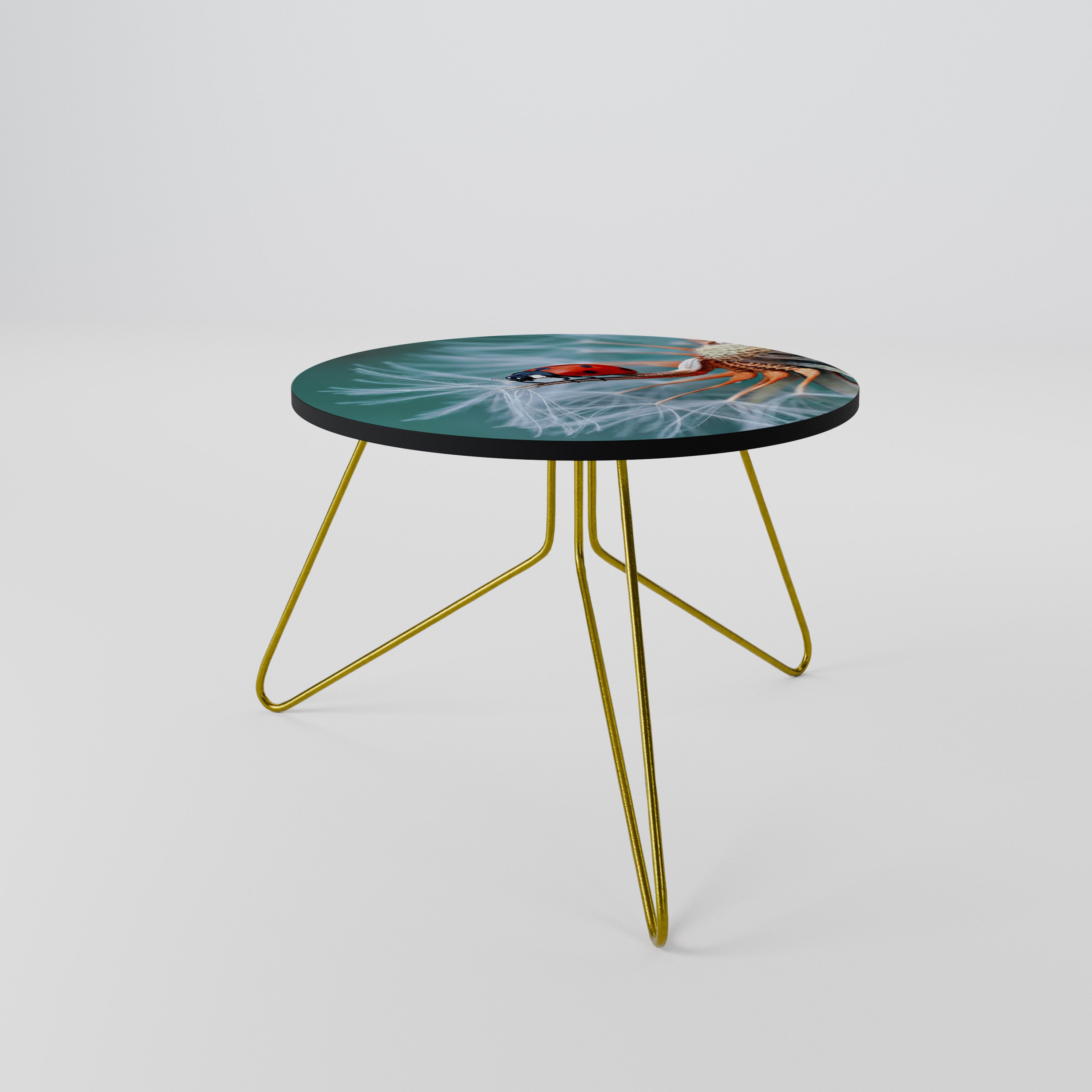 LADYBUG BALANCE Coffee Table 60